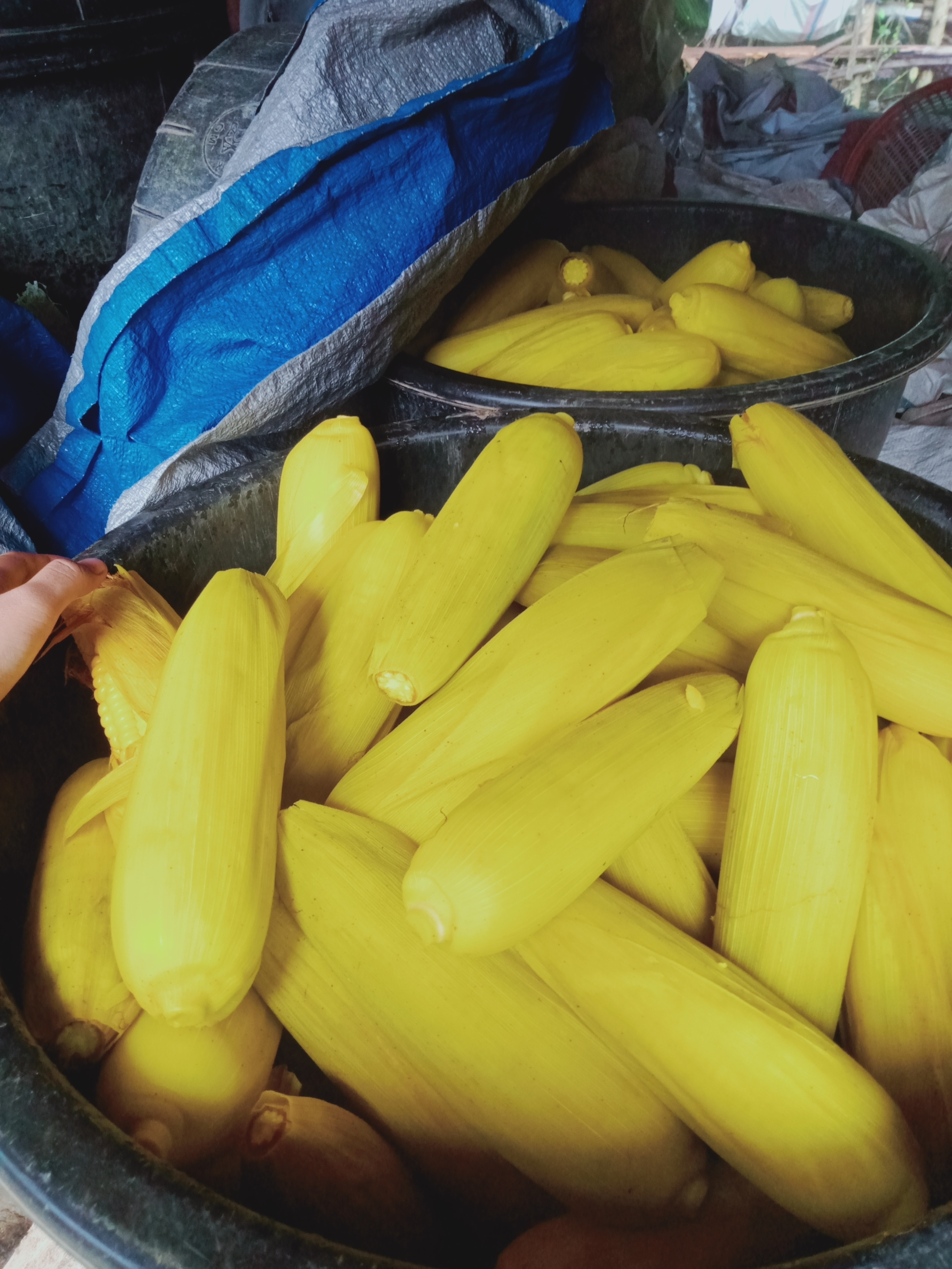 IMG20220101124624.jpg