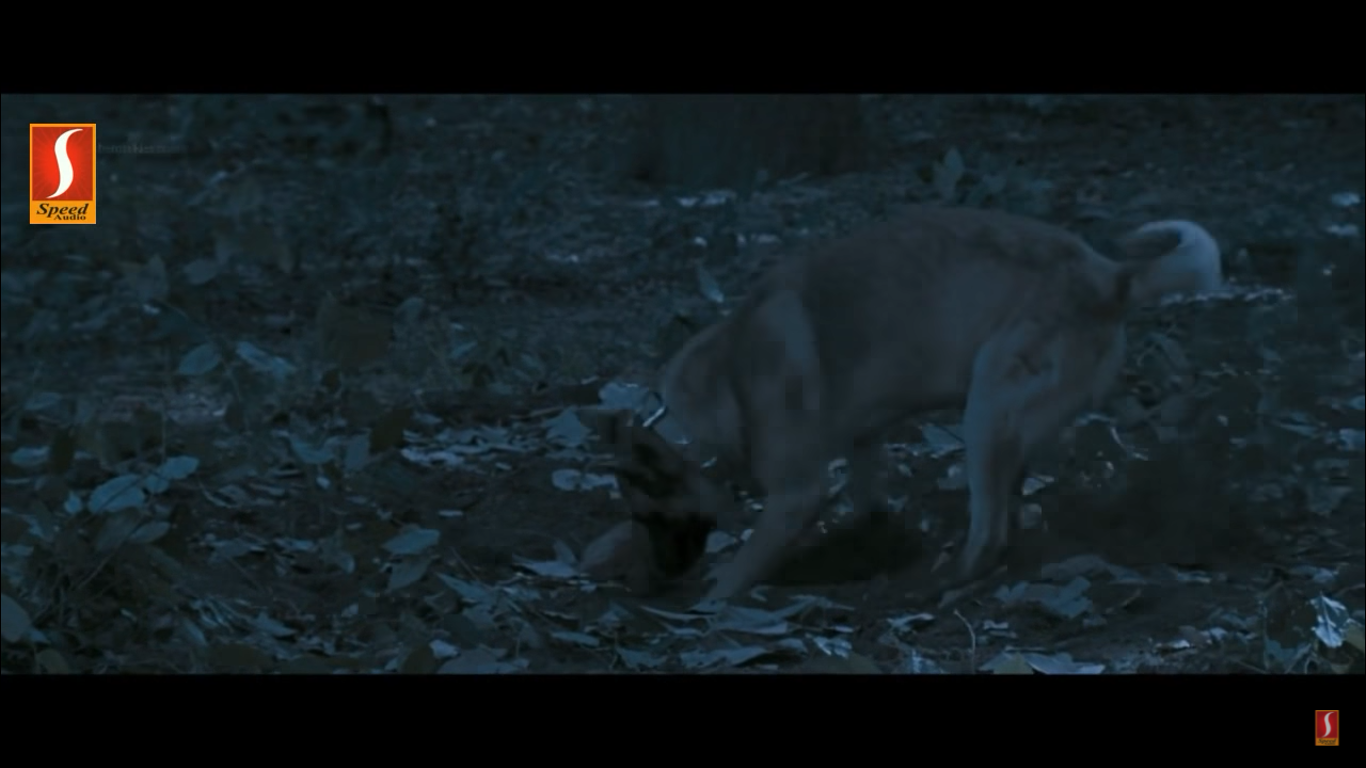 Screenshot (205).png