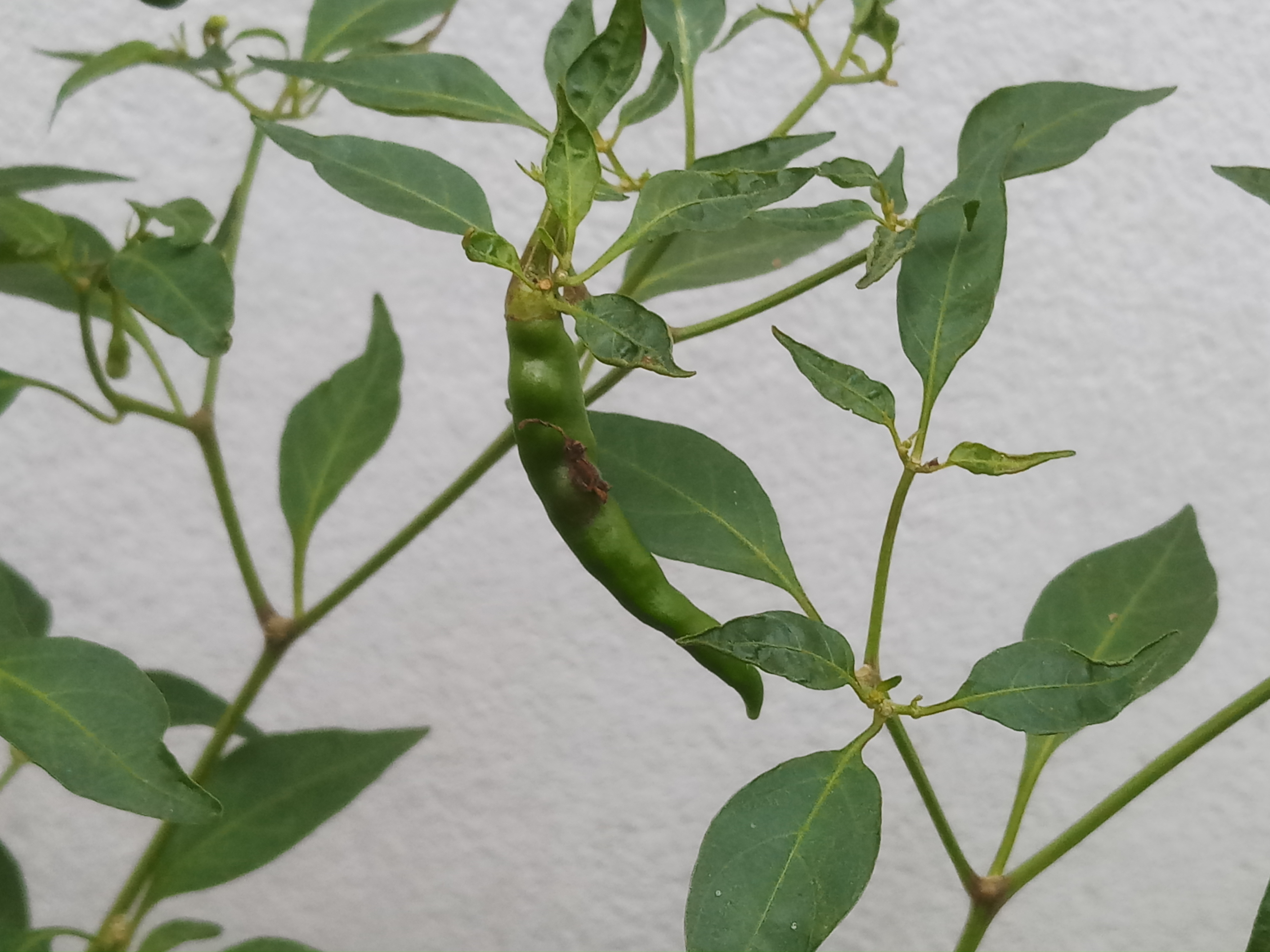20191004_150031.jpg
