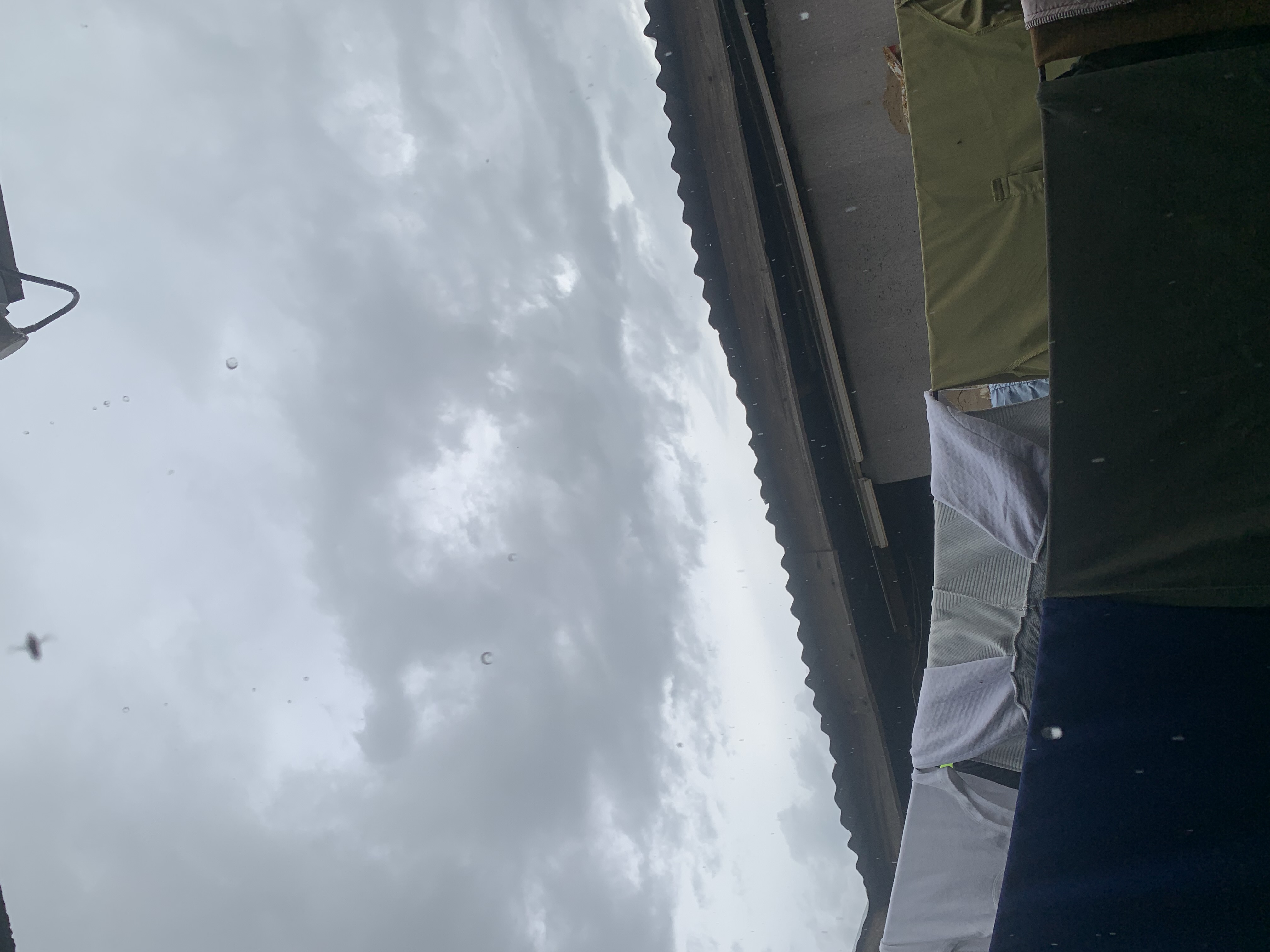 IMG_1529.jpeg