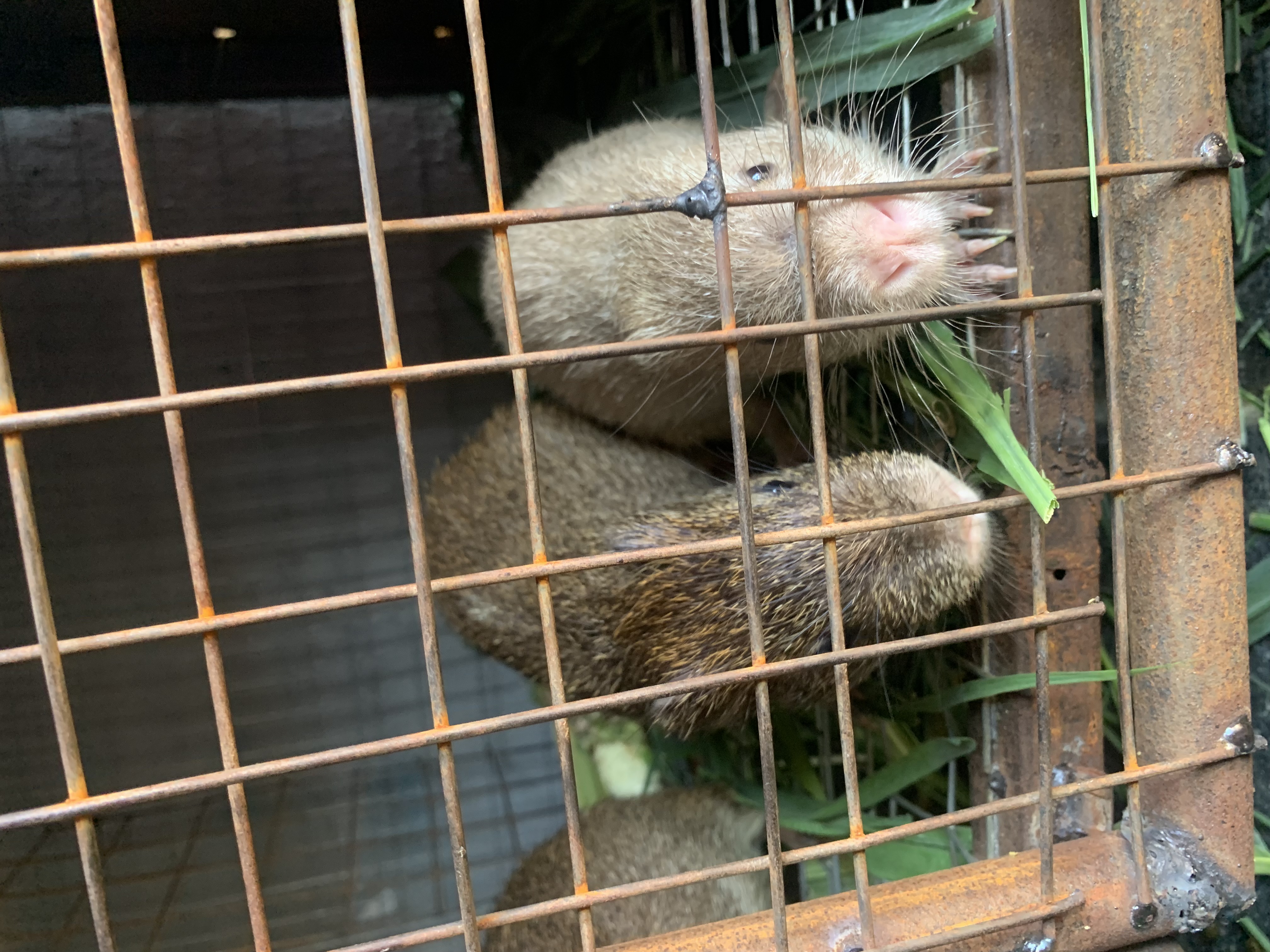 IMG_0972.jpeg