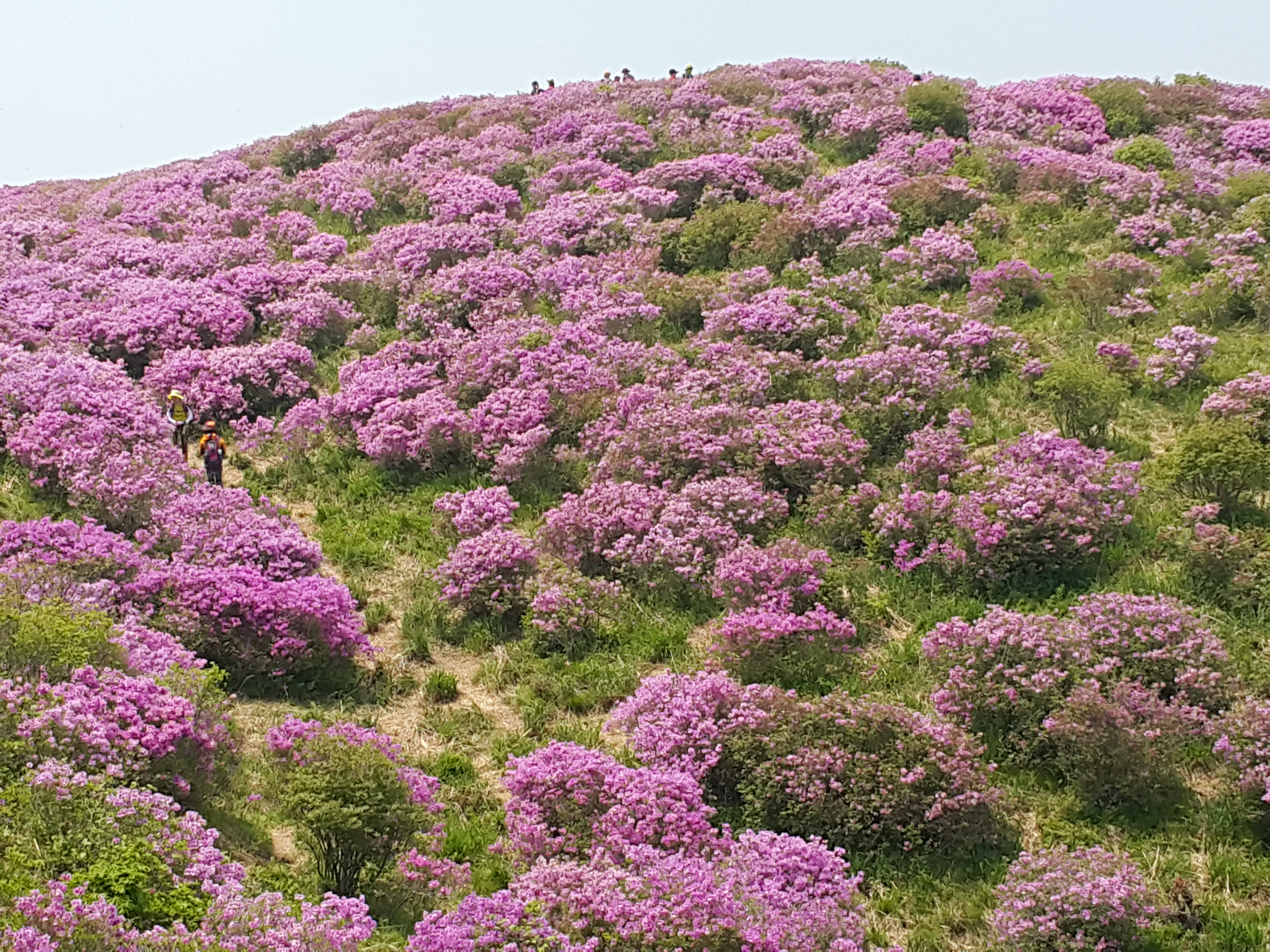 20150510_125211.jpg