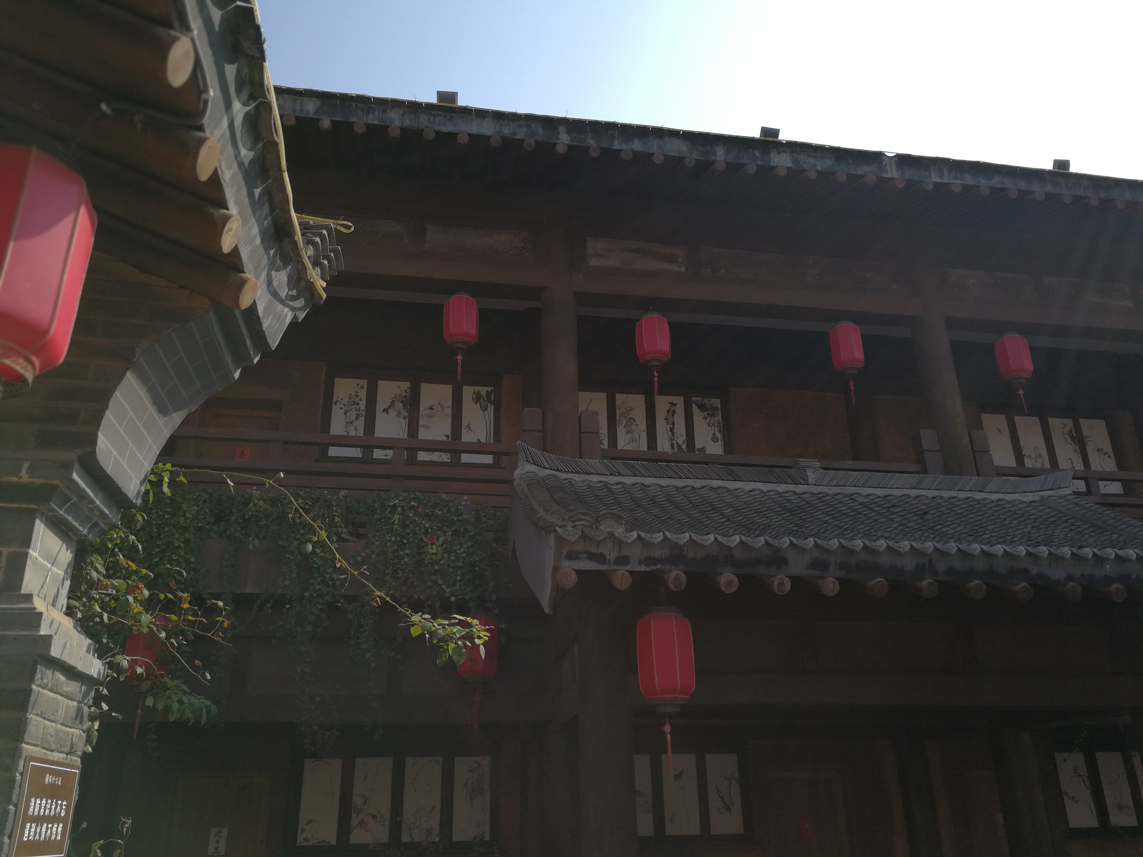 IMG_20181015_110743.jpg