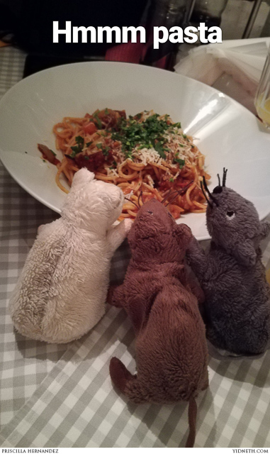 fufunchis steamfest - by priscilla Hernandez (yidneth.com)-8.jpg