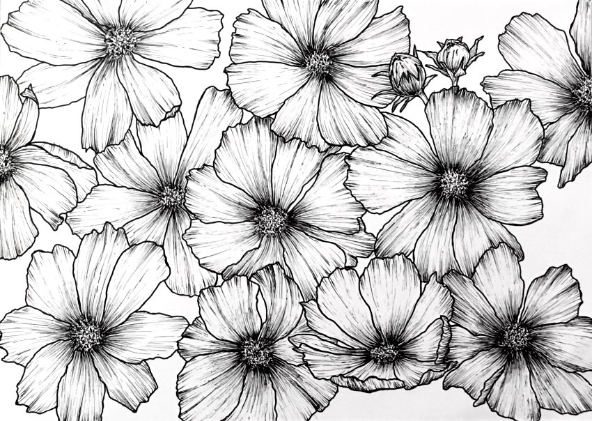 cosmos-floral-art.jpg