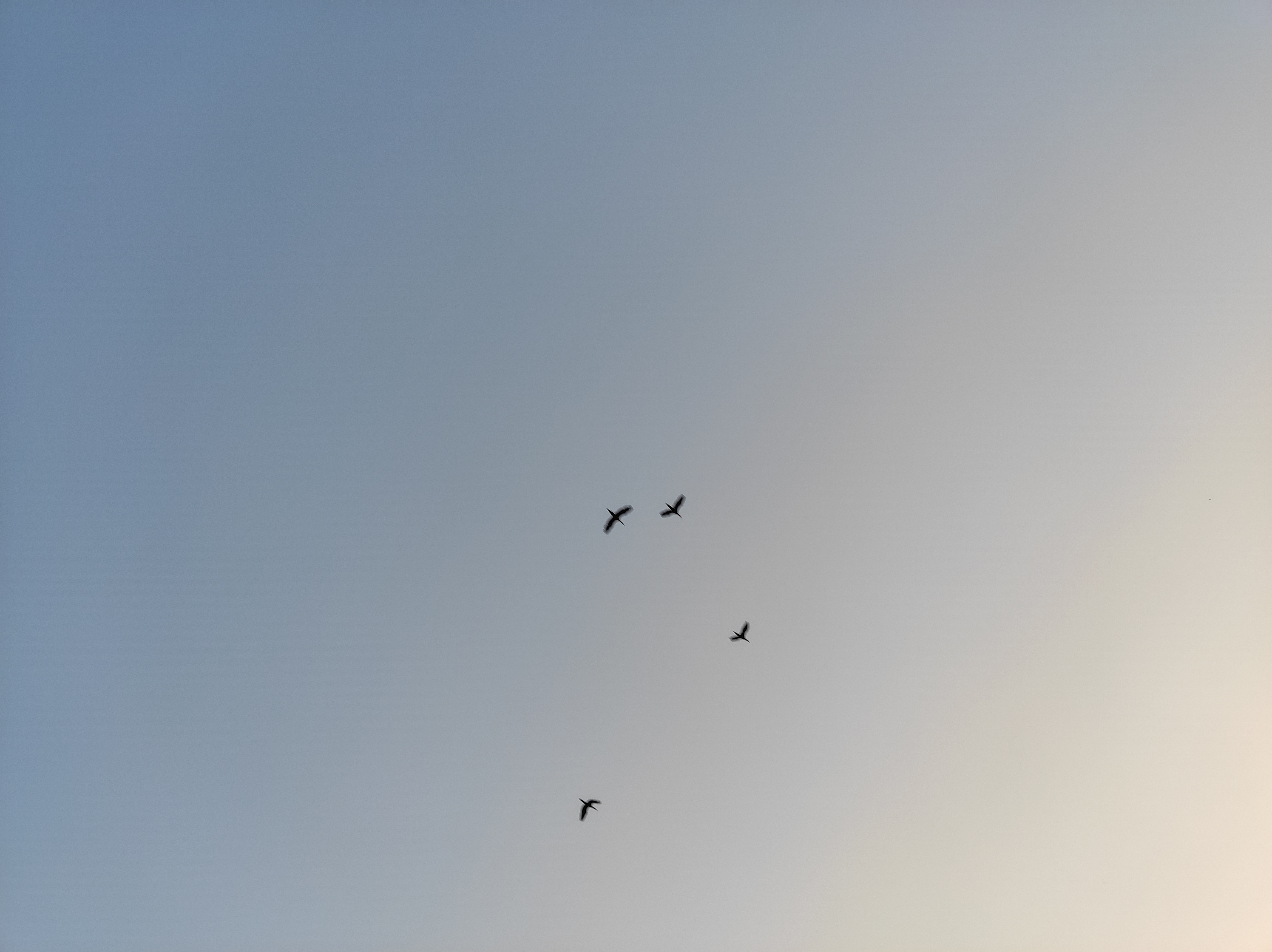 IMG_20230509_180753.jpg