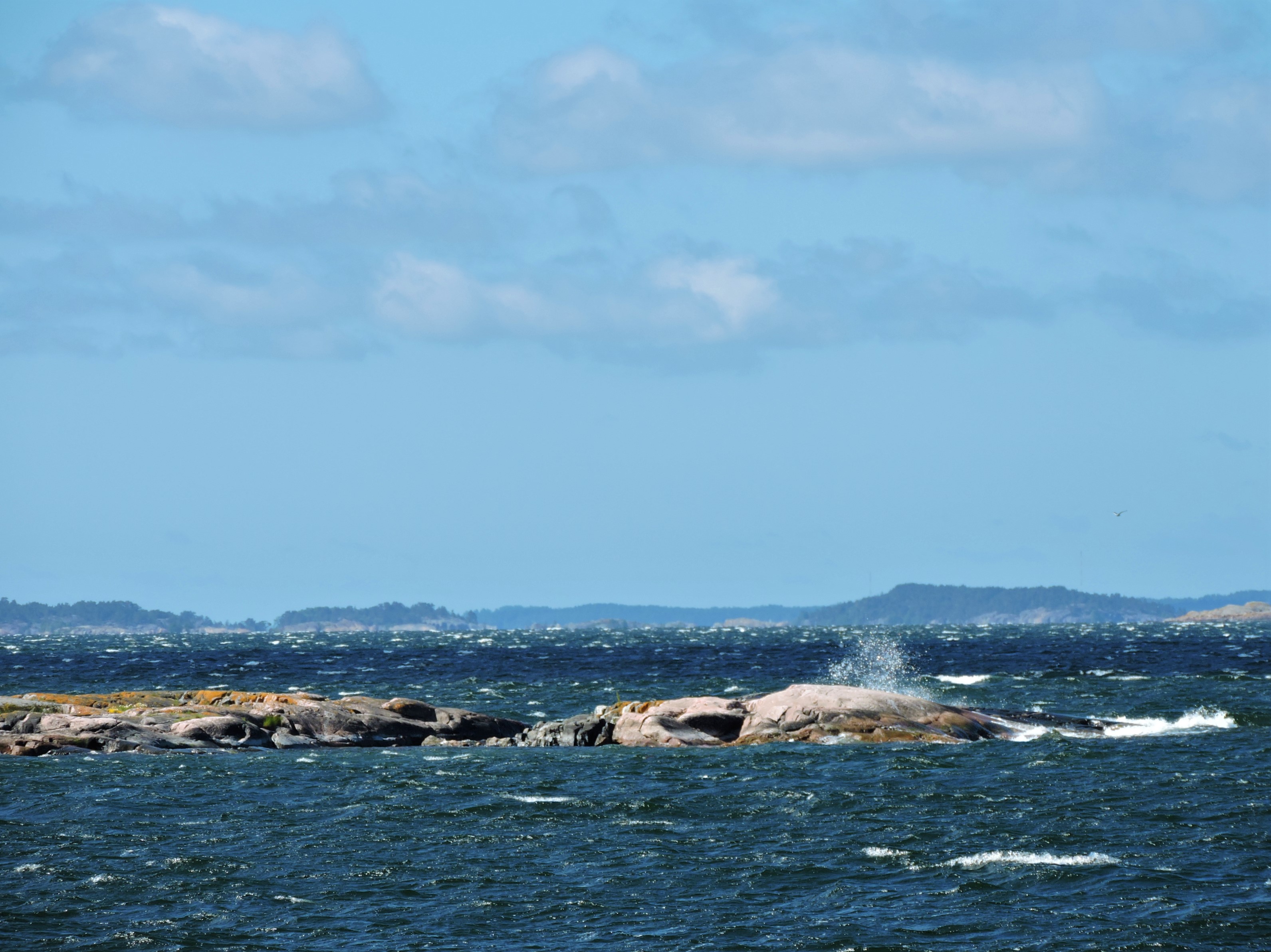 DSCN4996.JPG