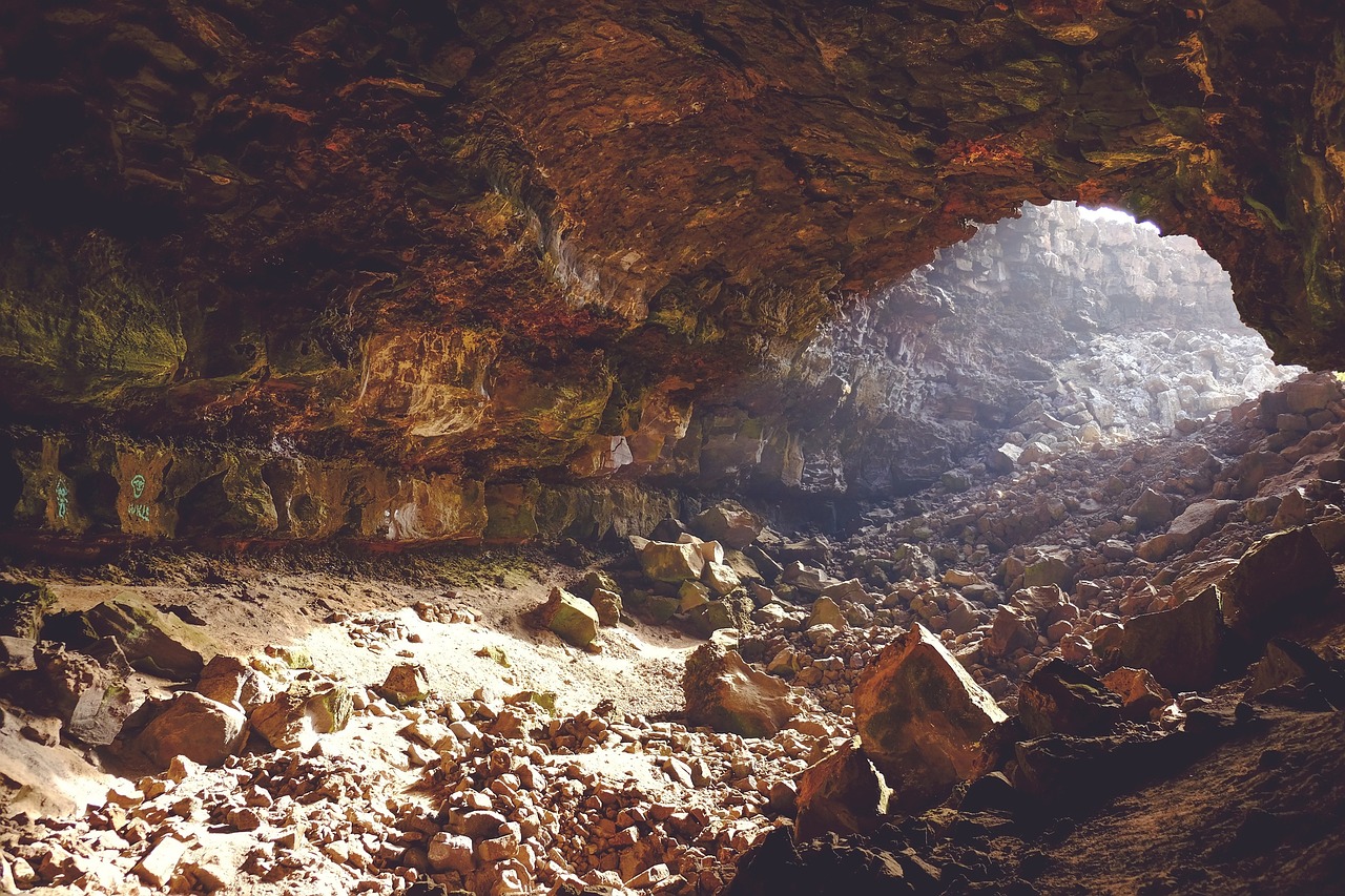 main_image