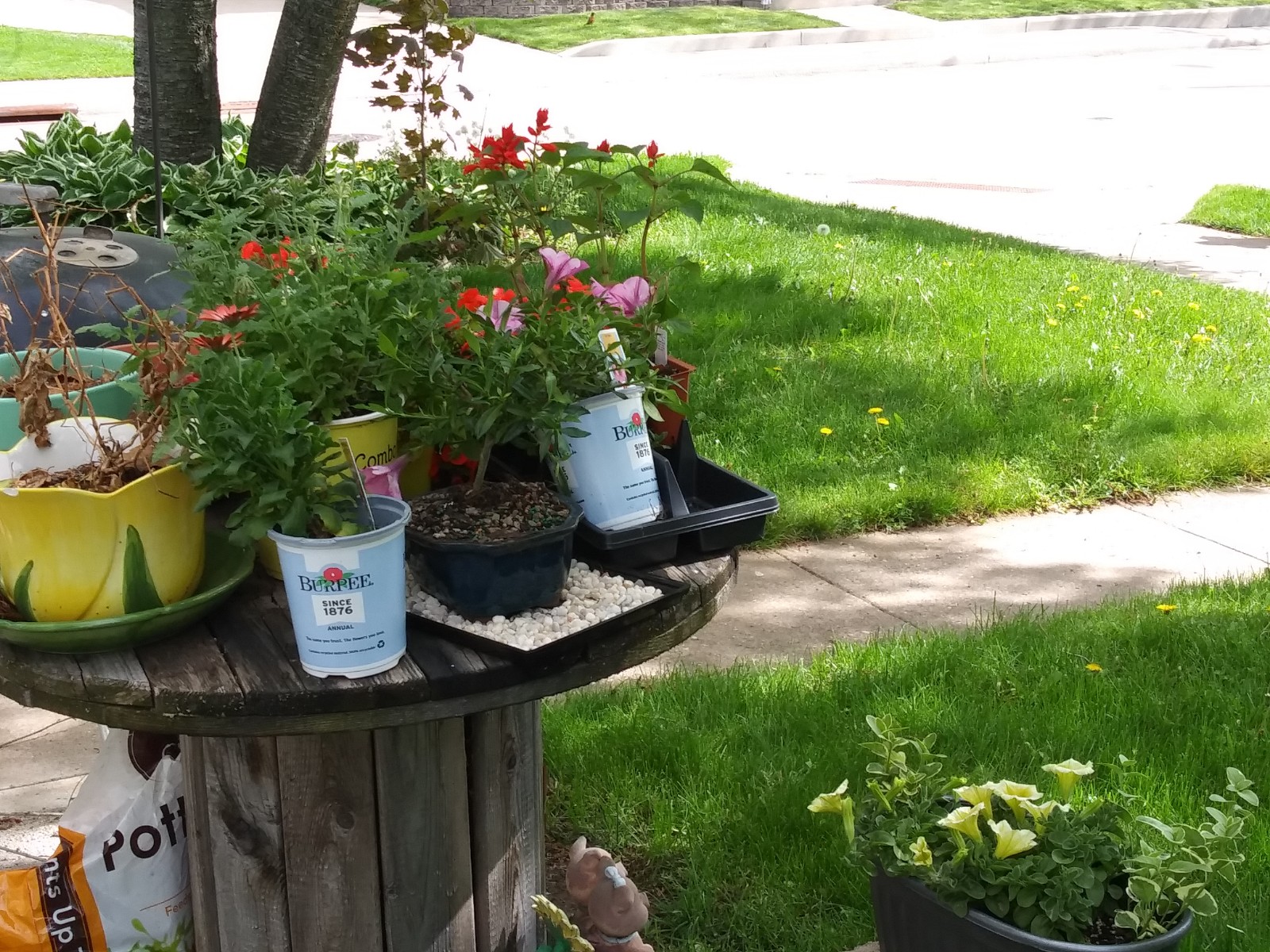 20190526_100642.jpg