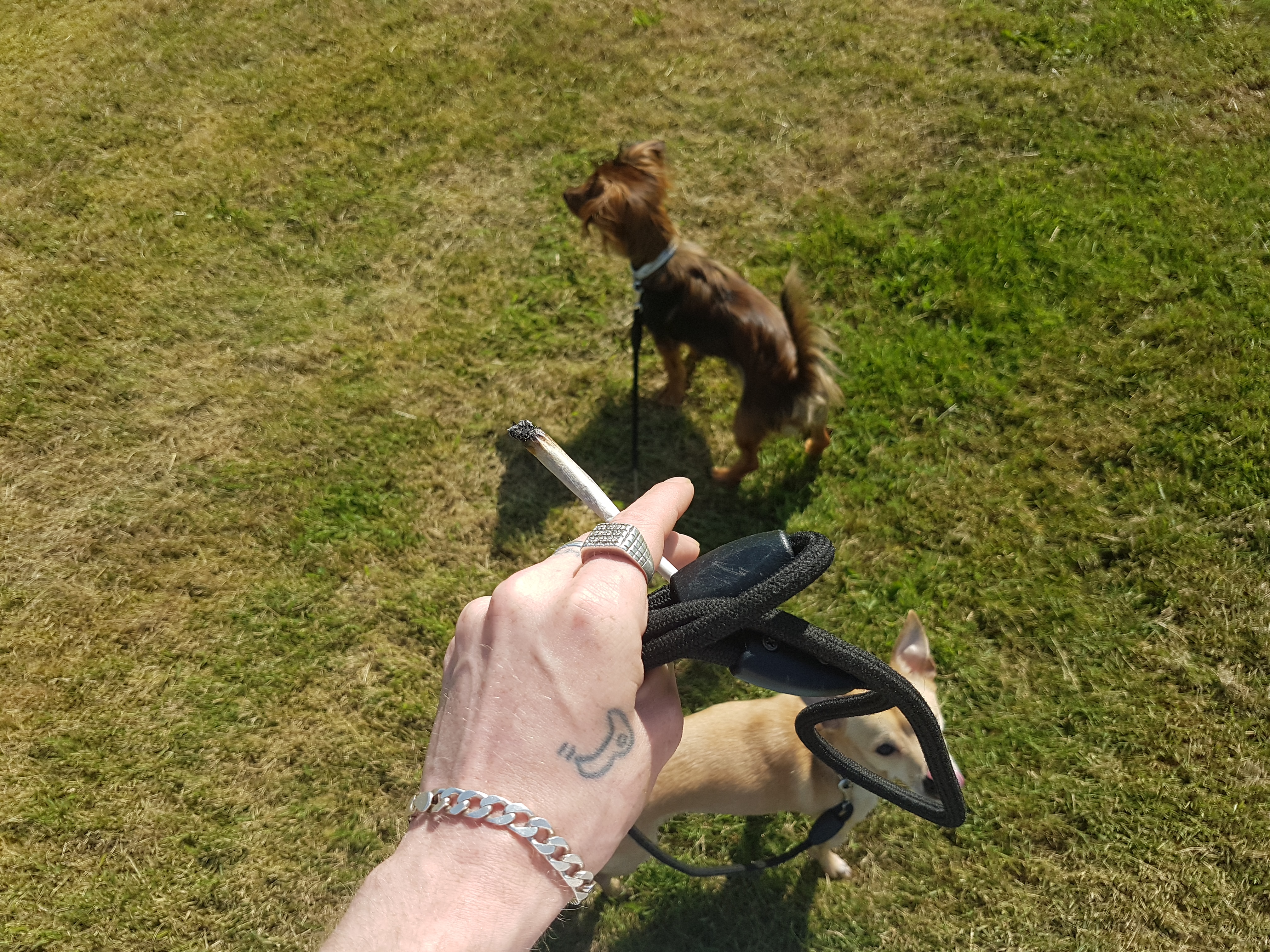 20180607_095431.jpg