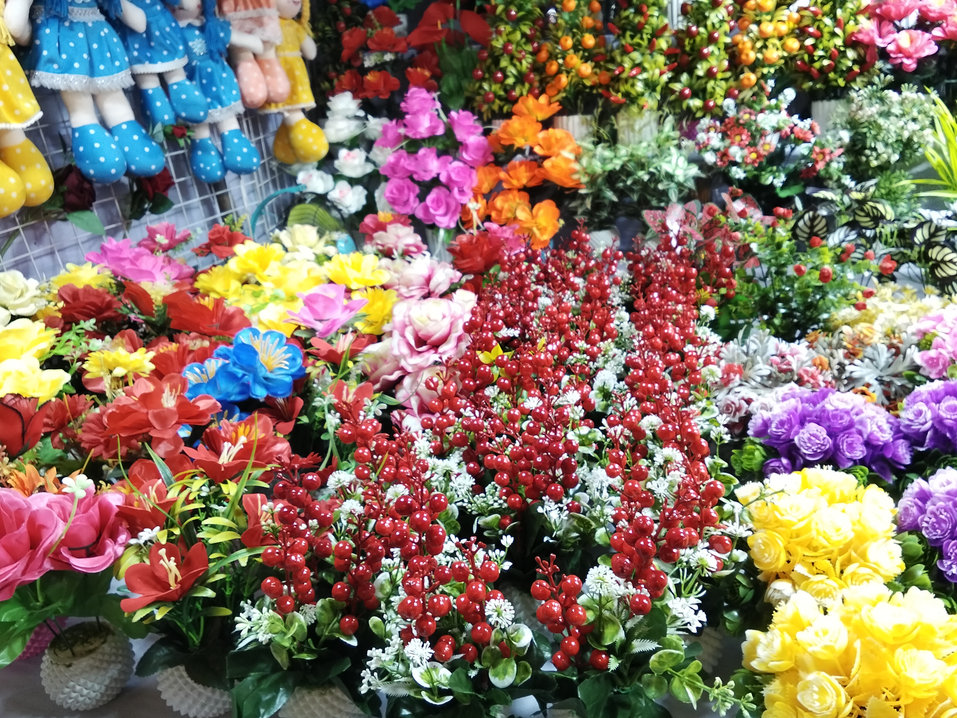 IMG20260814175631.jpg