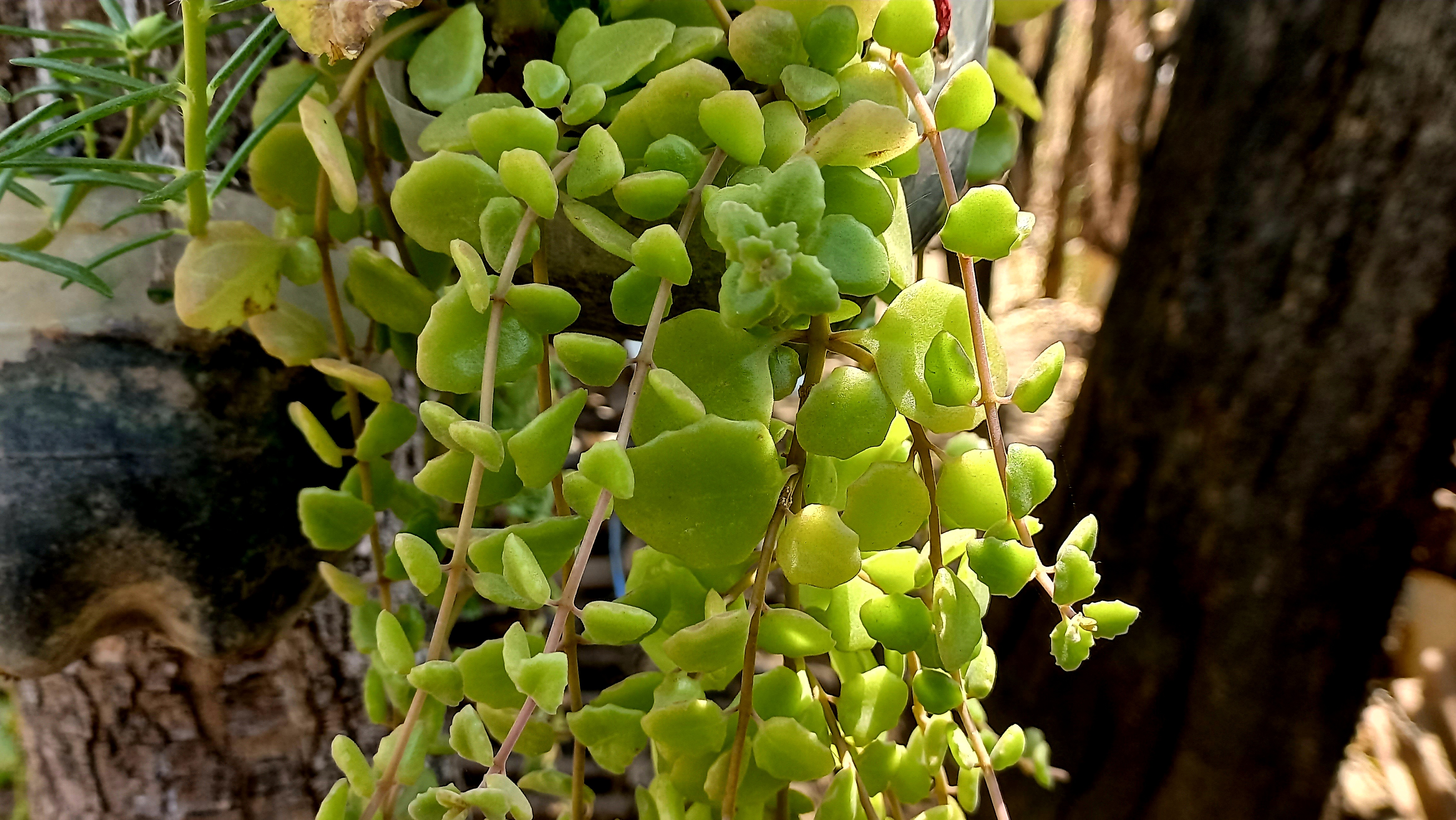 20260225_122822.jpg