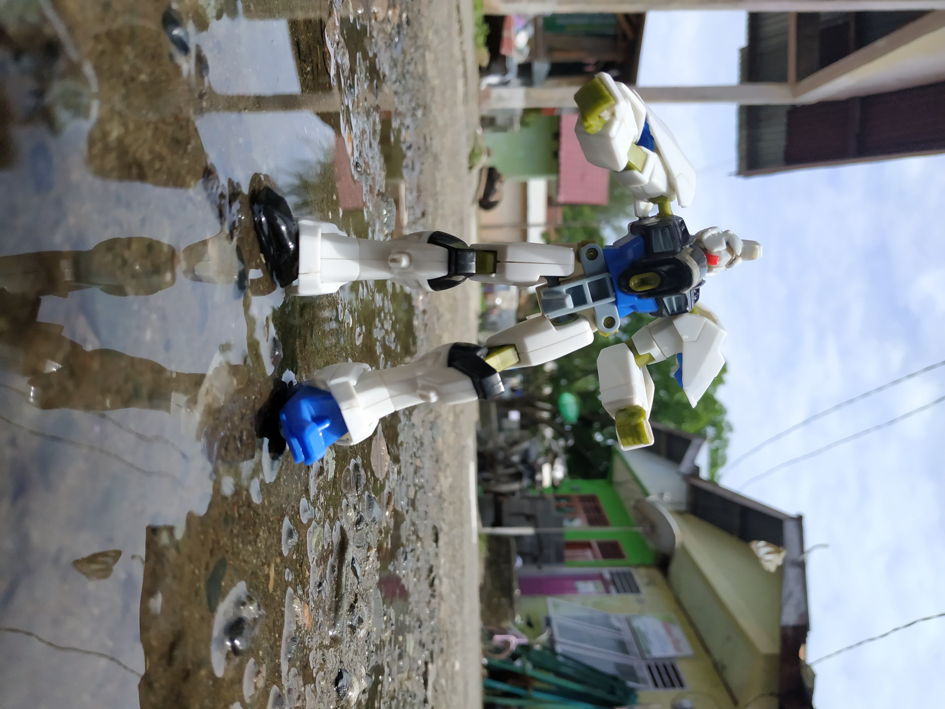 IMG_20210615_115407.jpg