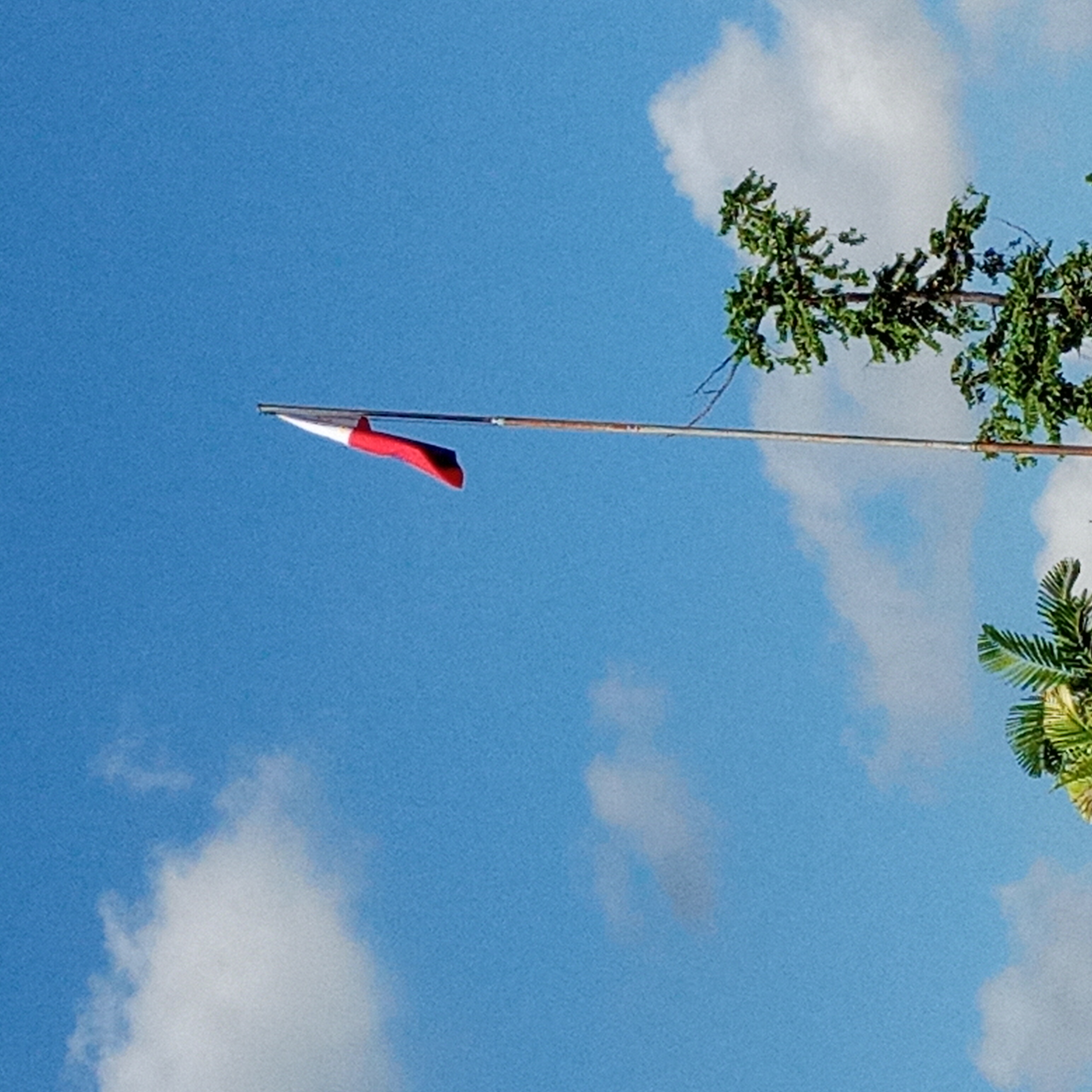 20210617_080903.jpg