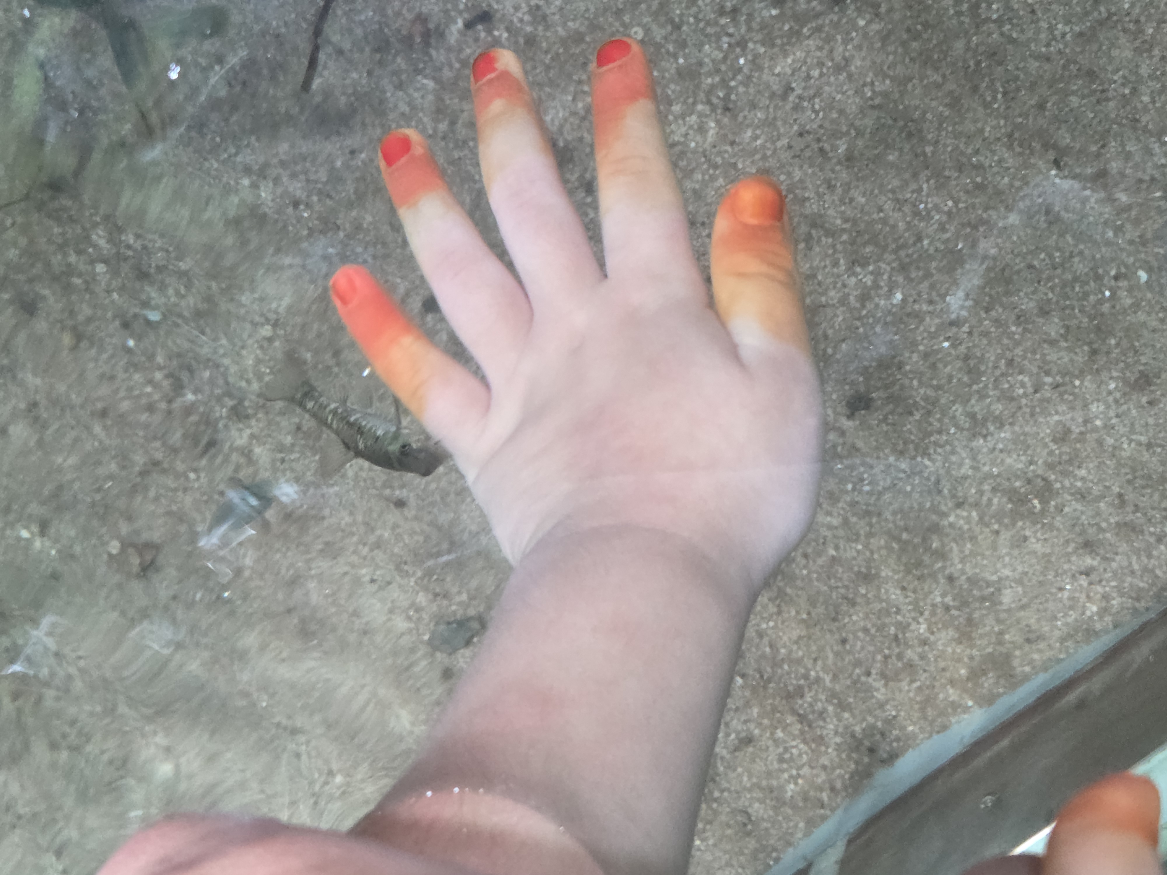 20260717_155842.jpg