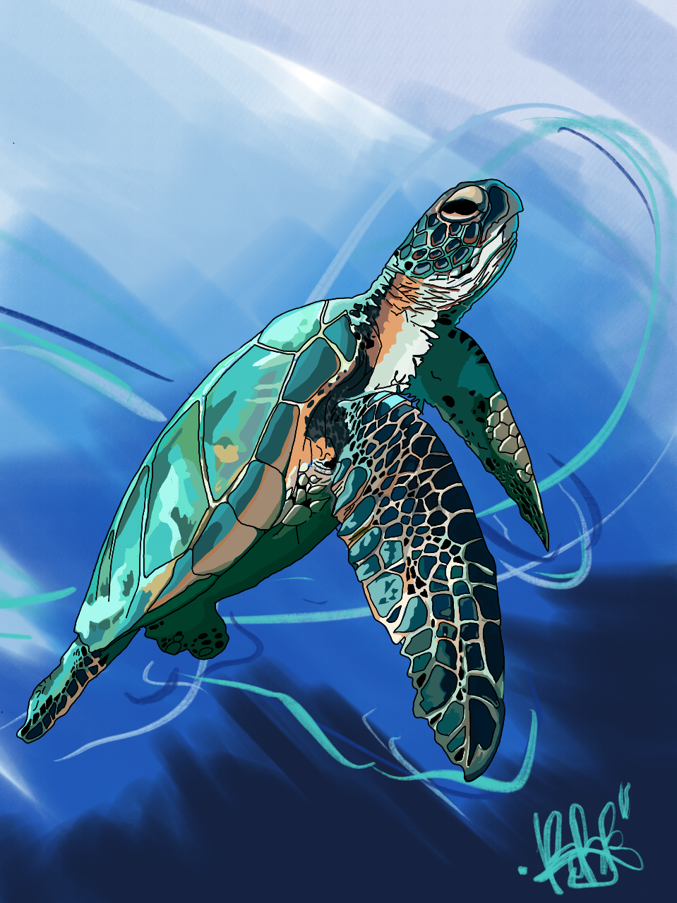 91F4A01E-B430-4B07-9A9D-9E190D9399E5.png