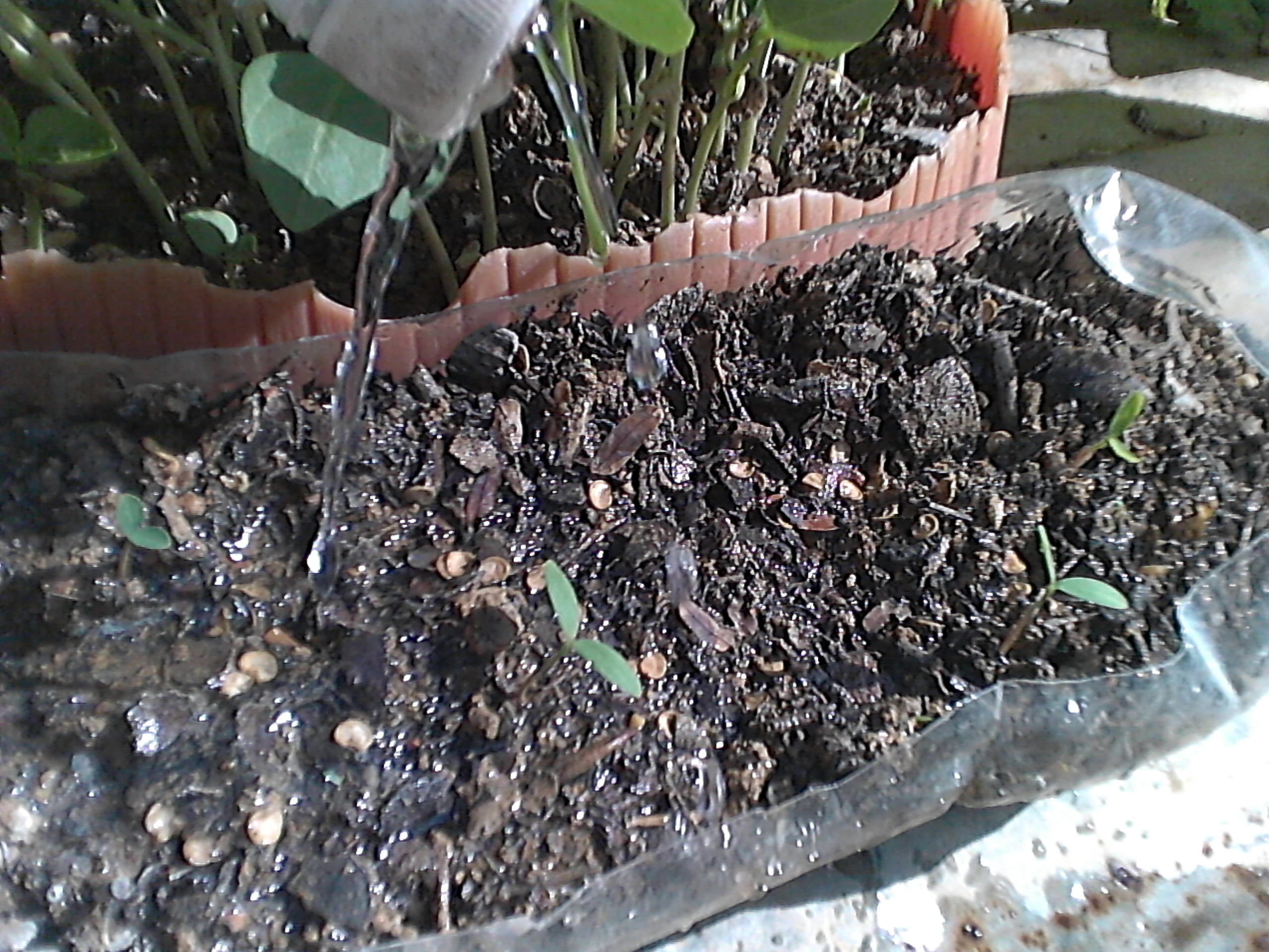 IMG_20201014_090429.jpg