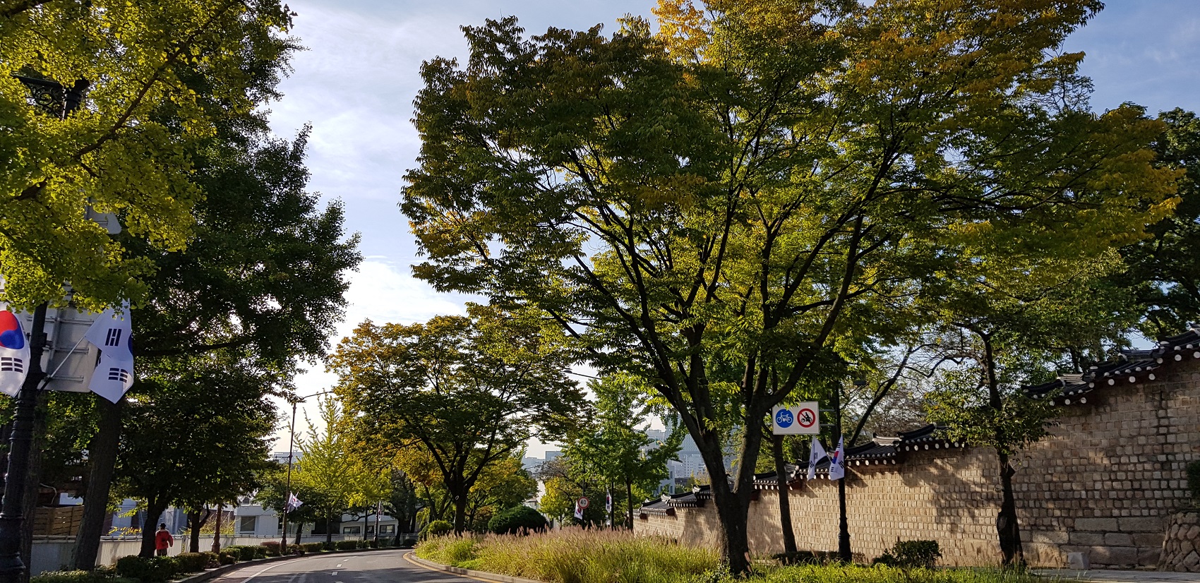20181008_082002.jpg