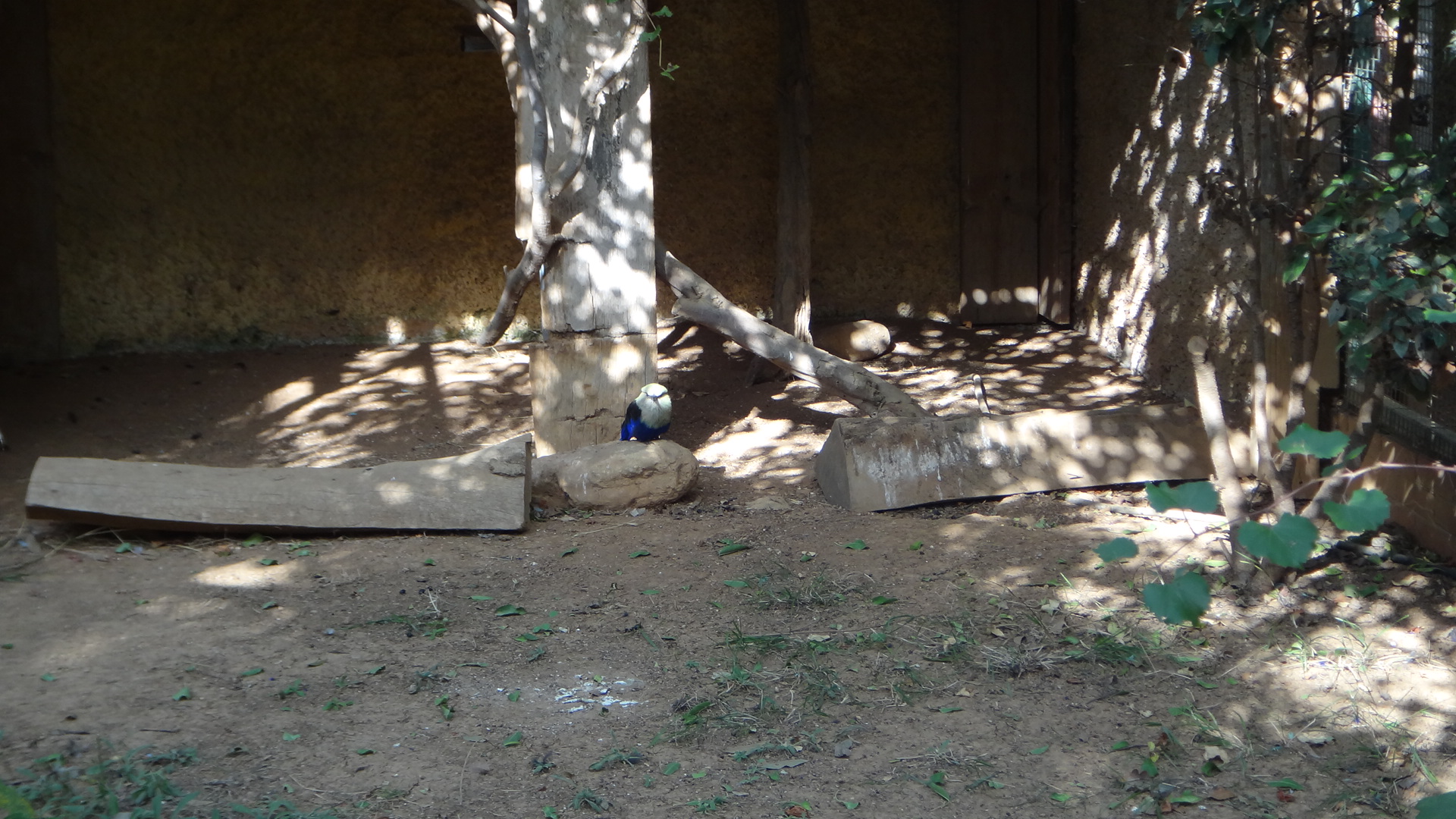 DSC04116.JPG