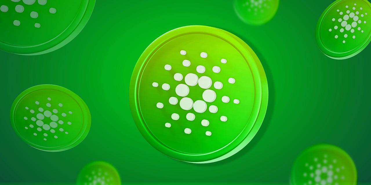 cardano-7172952_1280.jpg