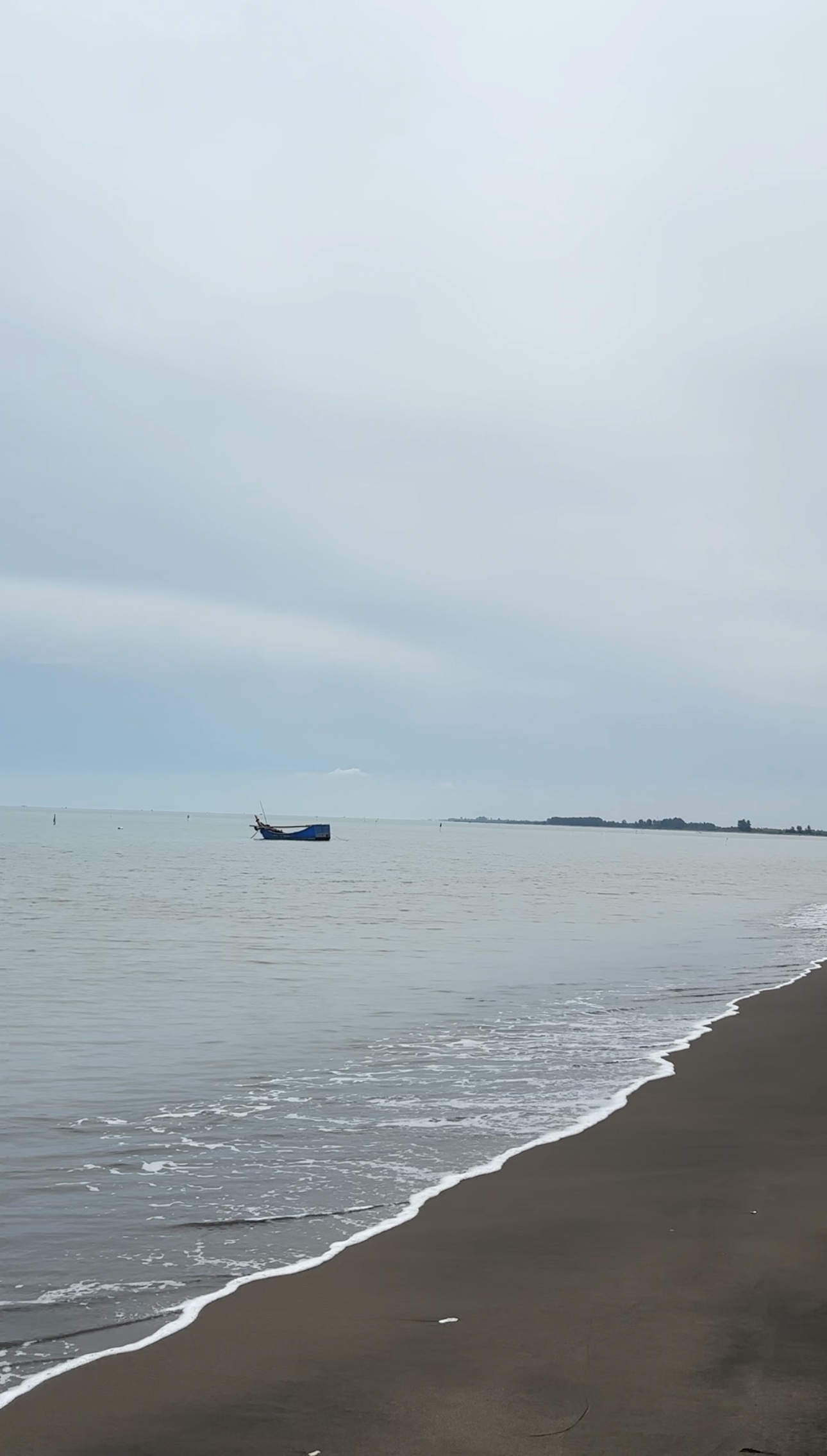 IMG_7824.jpeg