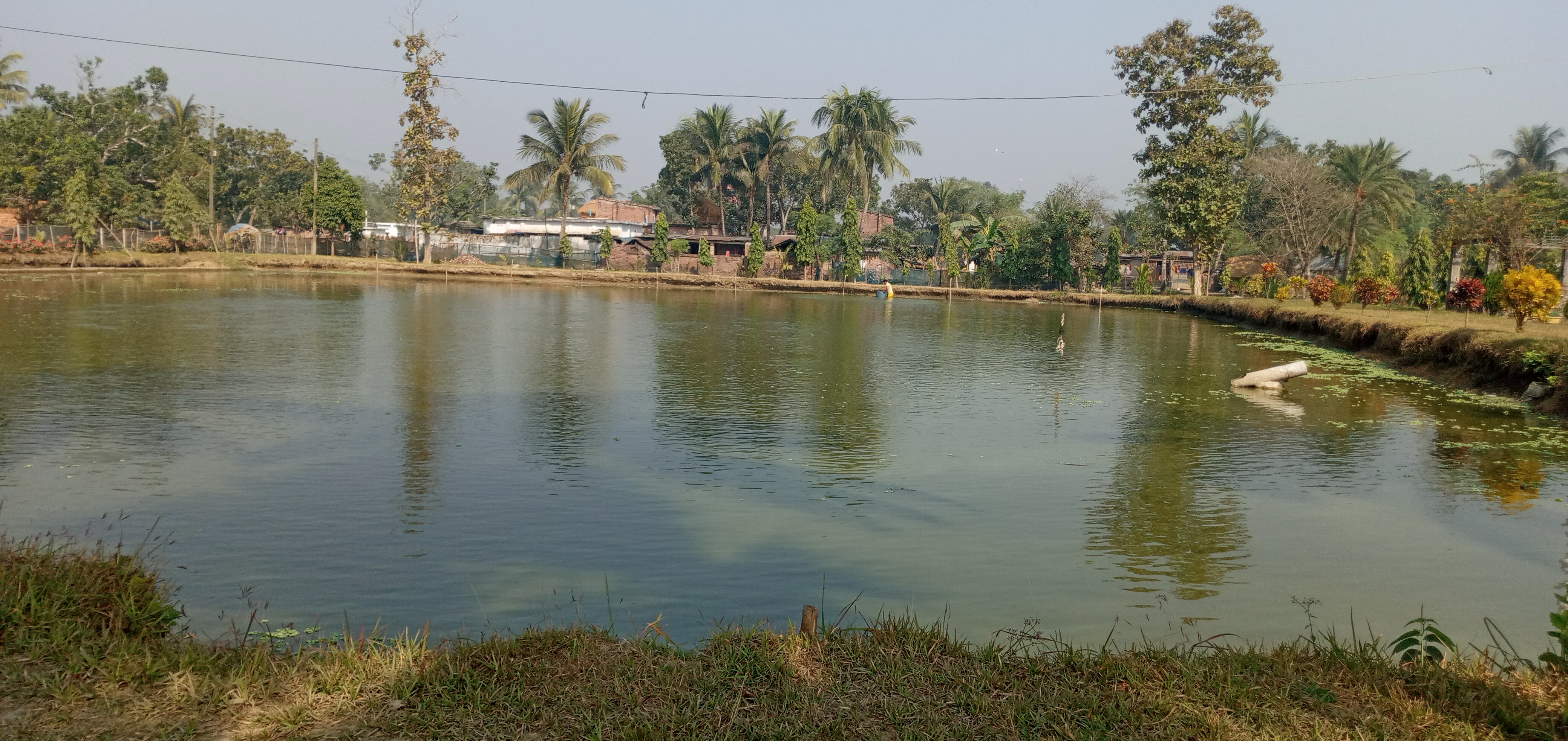 20210107_110016.jpg