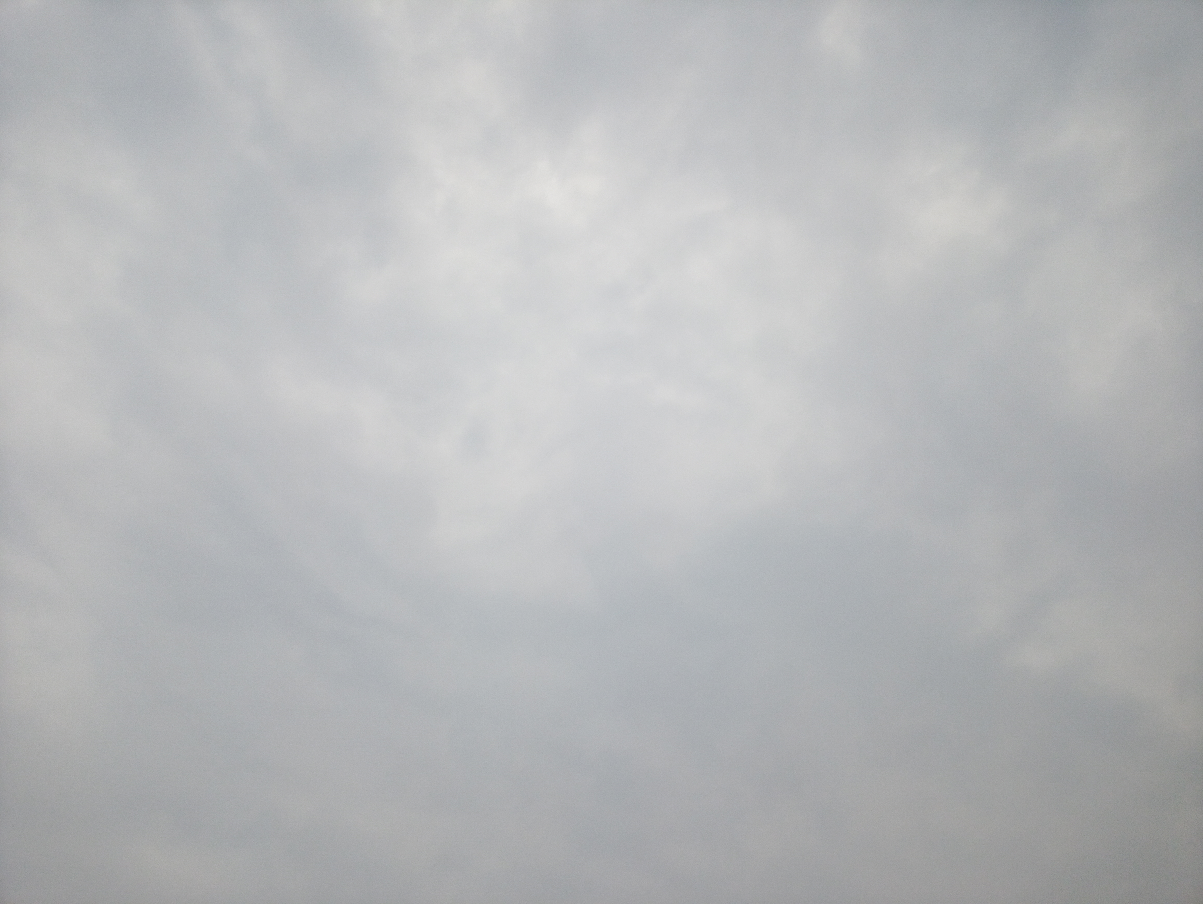 20200513_112219.jpg