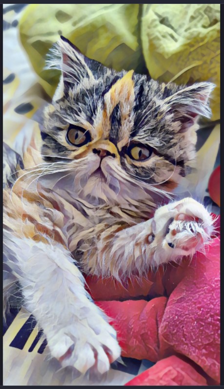 gatopat.jpg