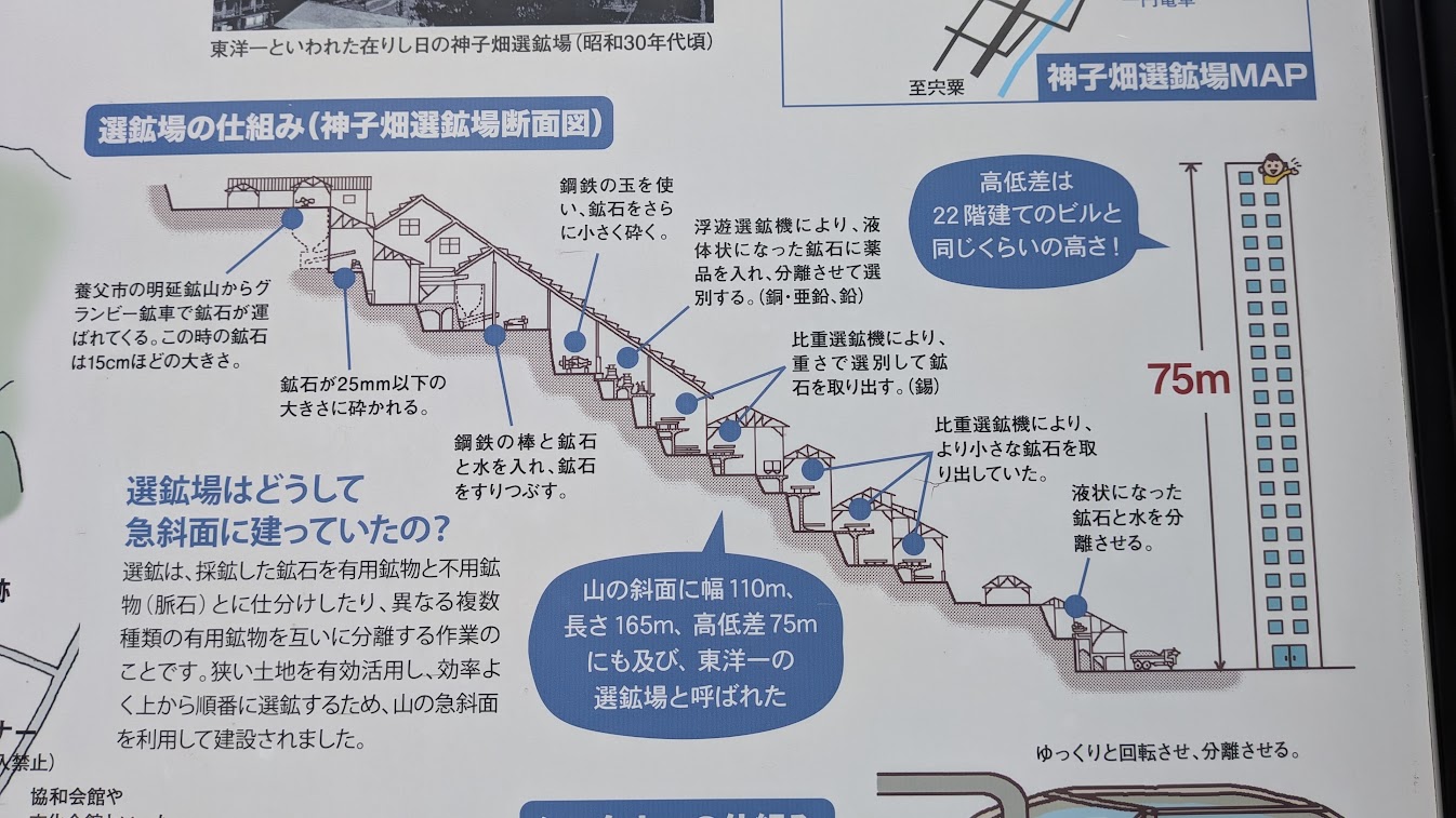 PXL_20260809_013855038.jpg