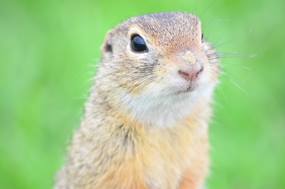 dsc_0504_34852650976_o.jpg