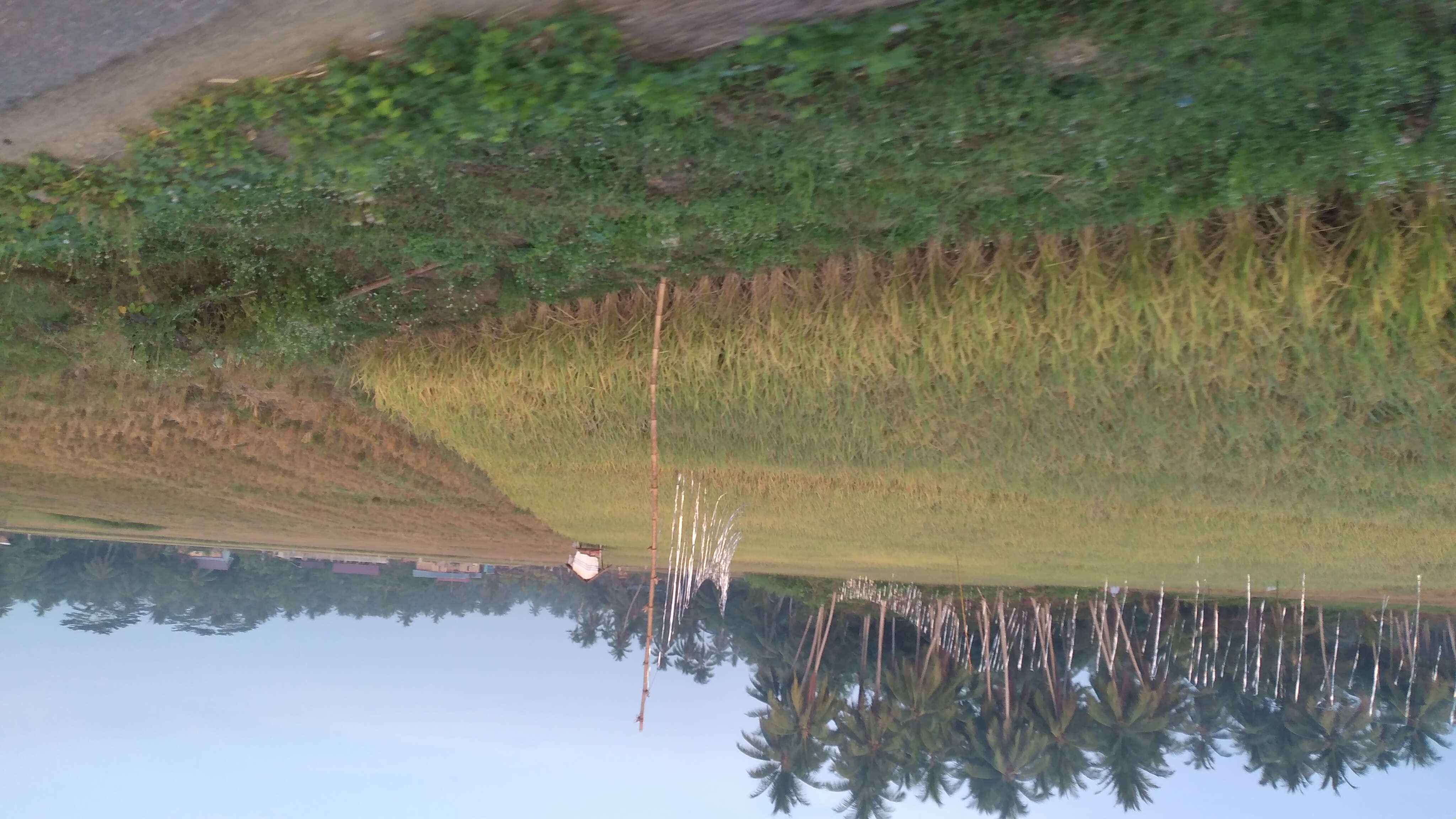 20240327_065940.jpg
