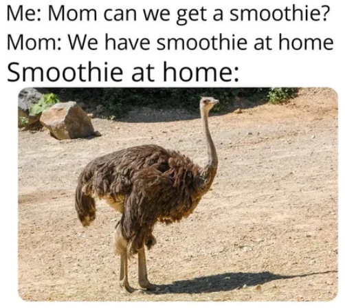 m_582.png