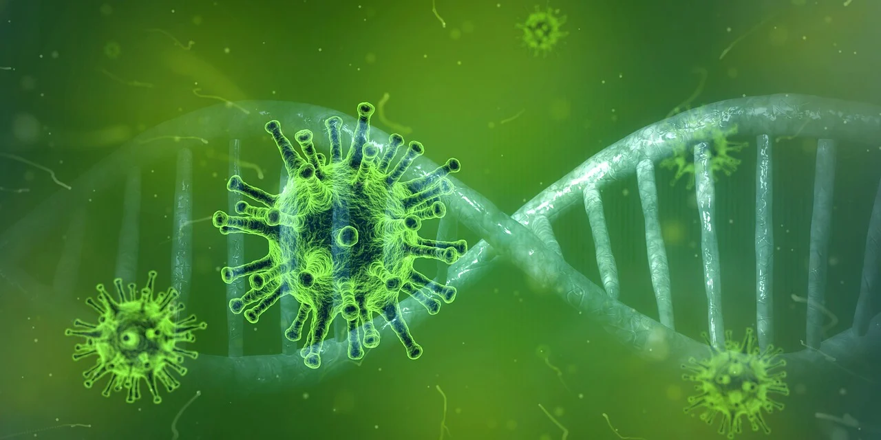coronavirus-4833754_1280.webp