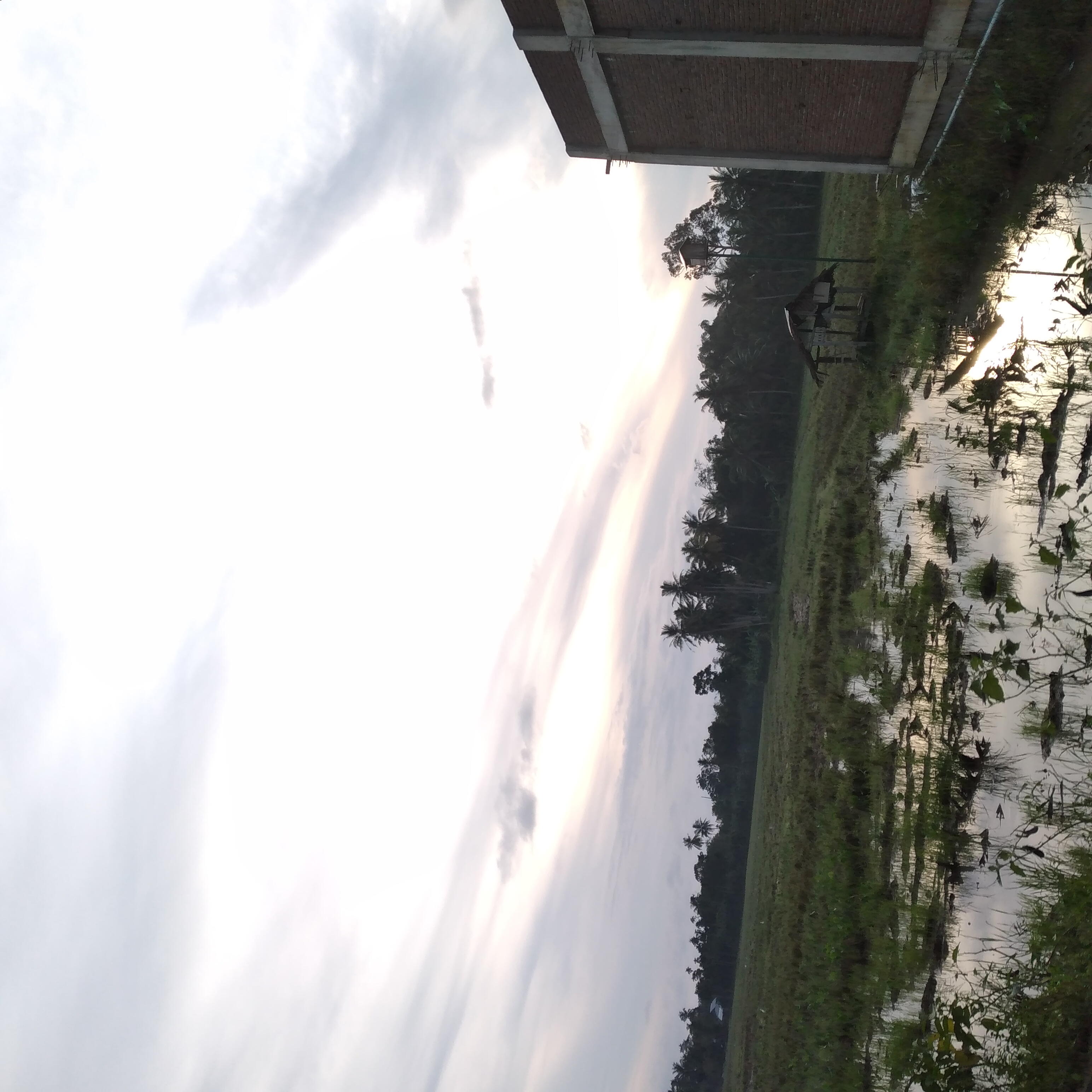 20221224_071614.jpg