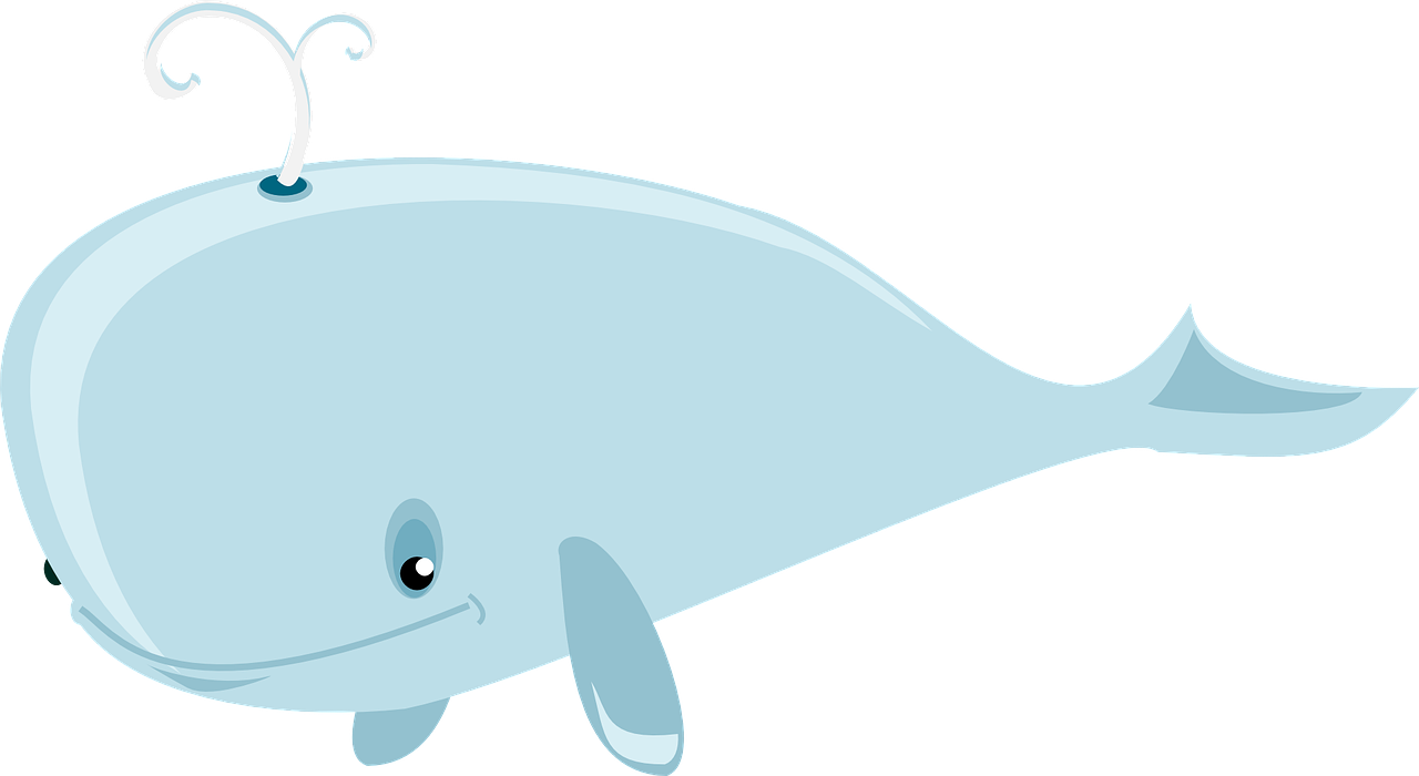 whale-36828_1280.png