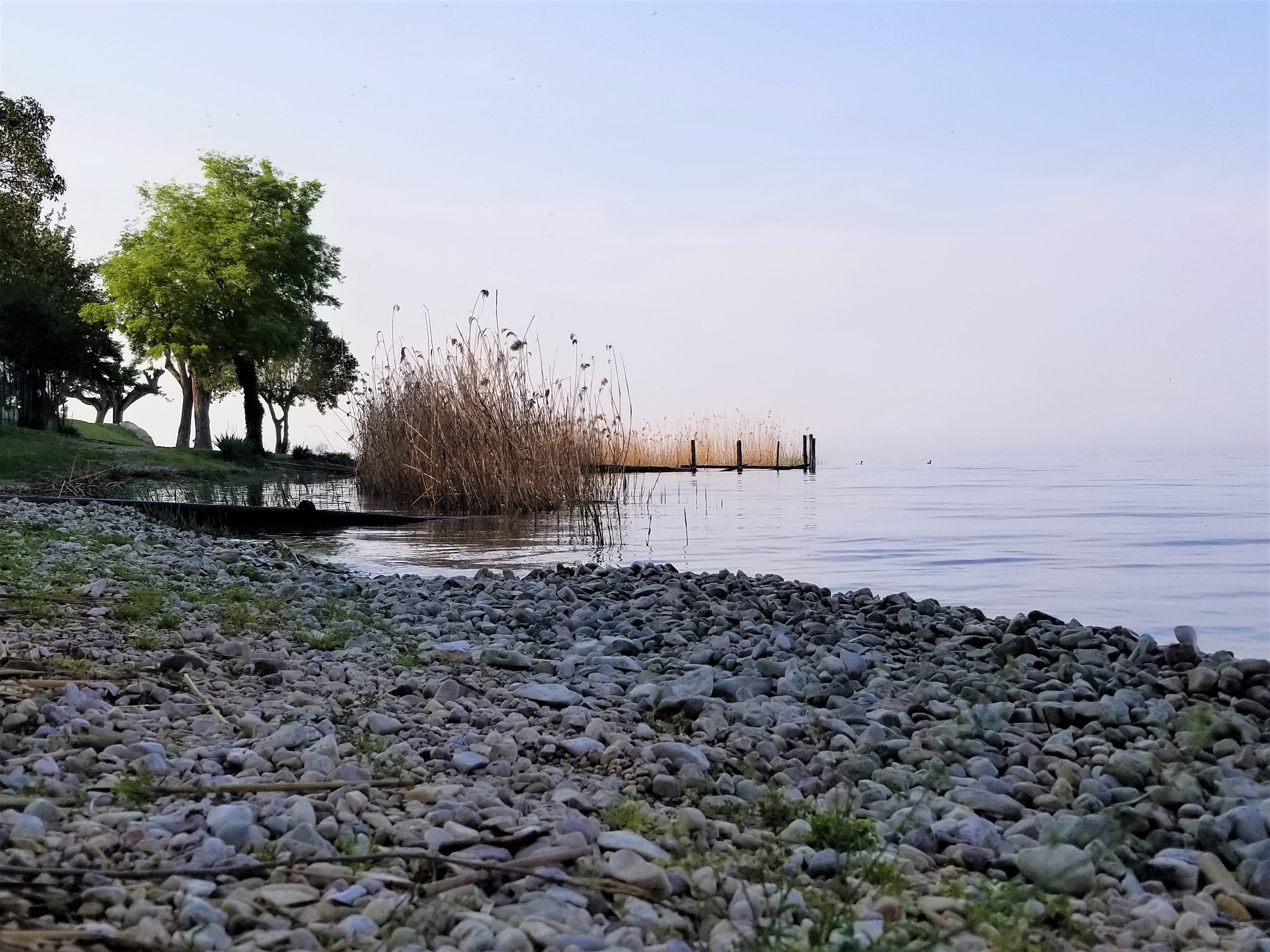 20180423_084820.jpg