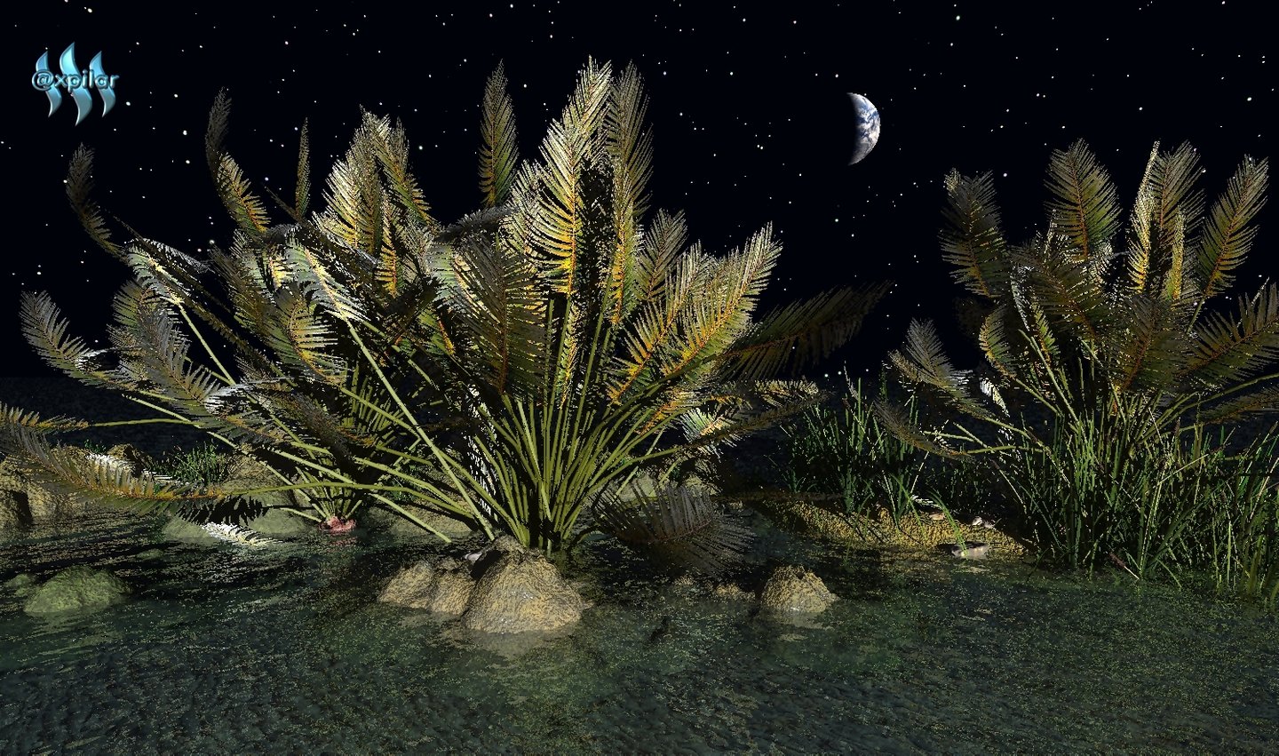 xpilar's oasis (used by permission).jpg