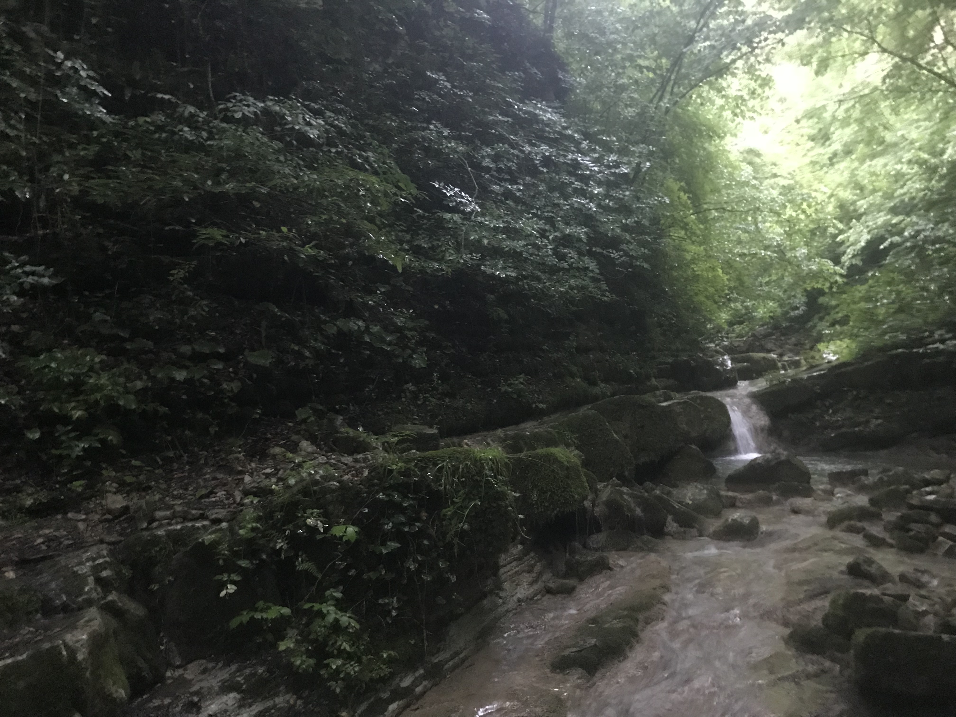 D10CE86F-2A33-47F2-BA0E-54B4634A579F.jpeg
