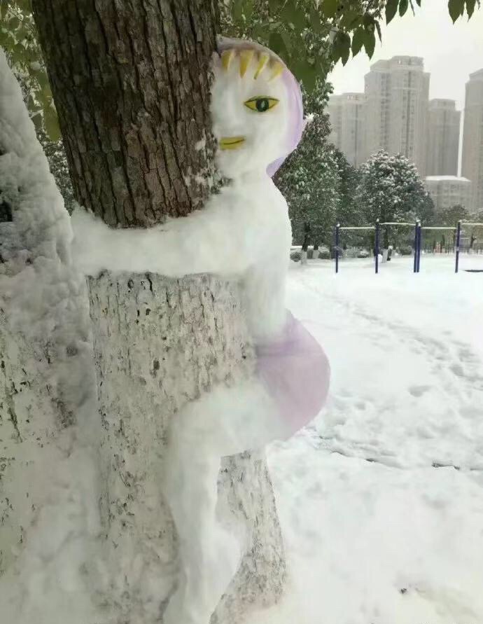 微信图片_20181231195918.jpg