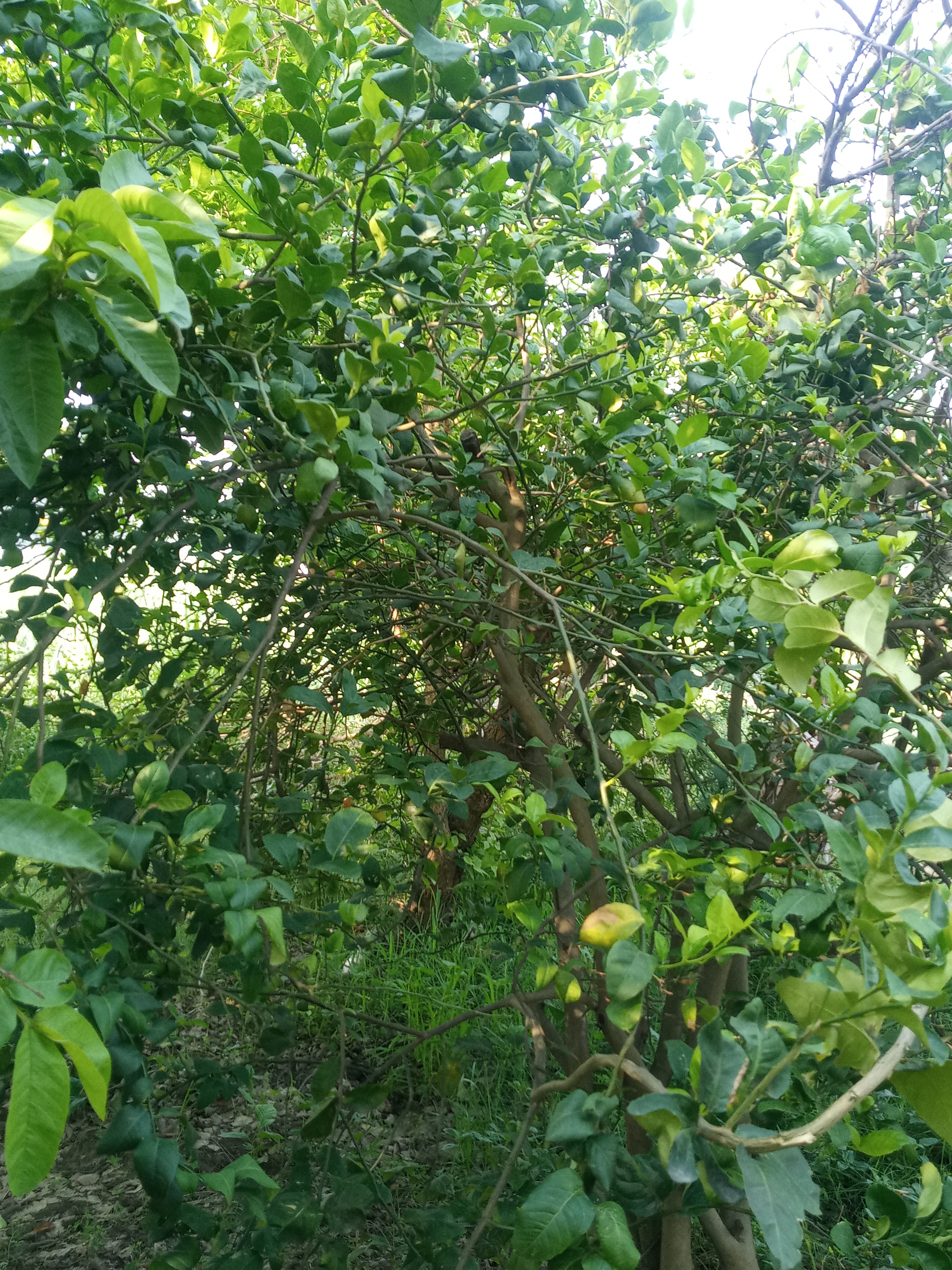 20210604_080049.jpg