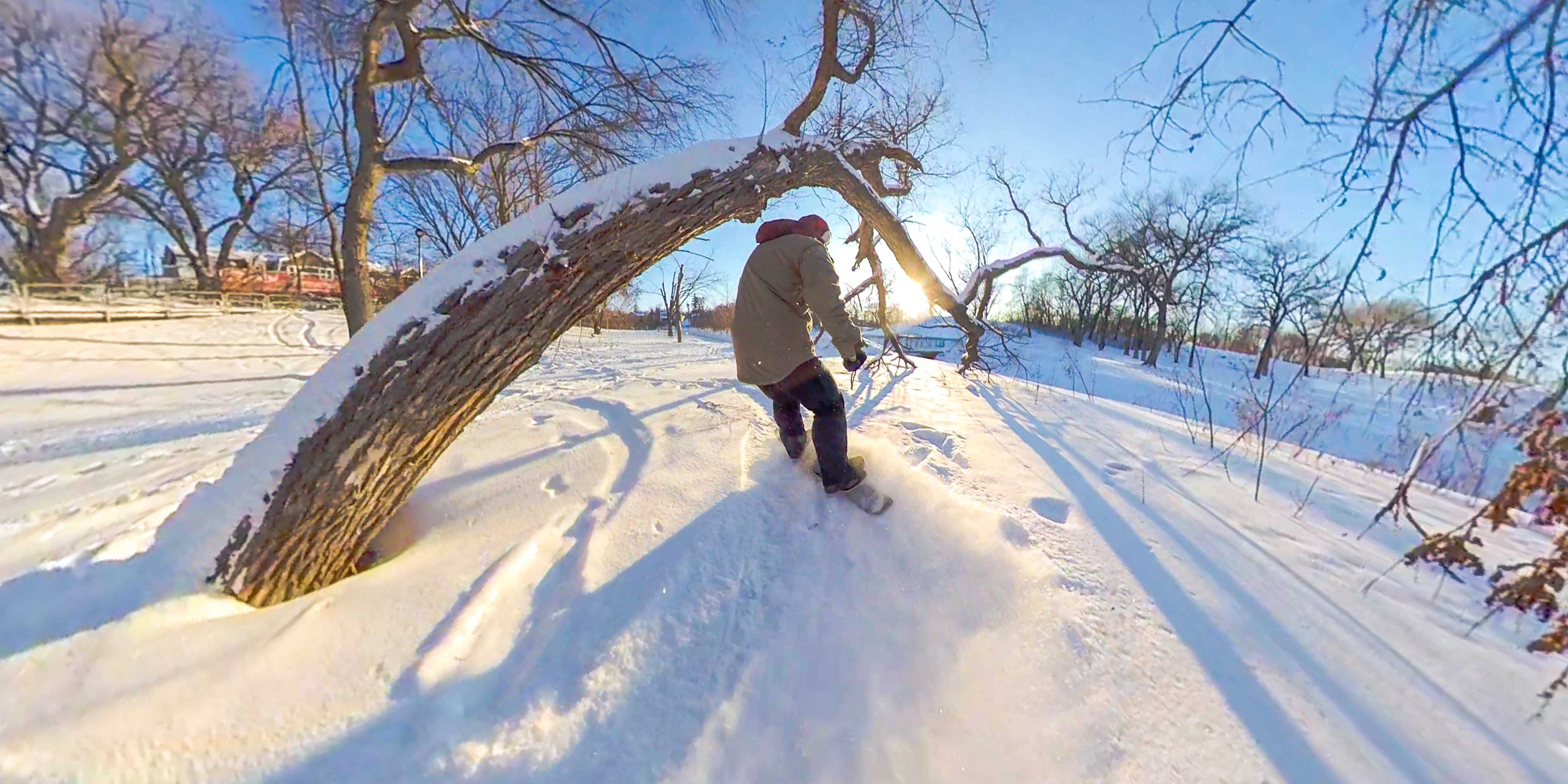 Playing In The Snow - Tree Barrels!