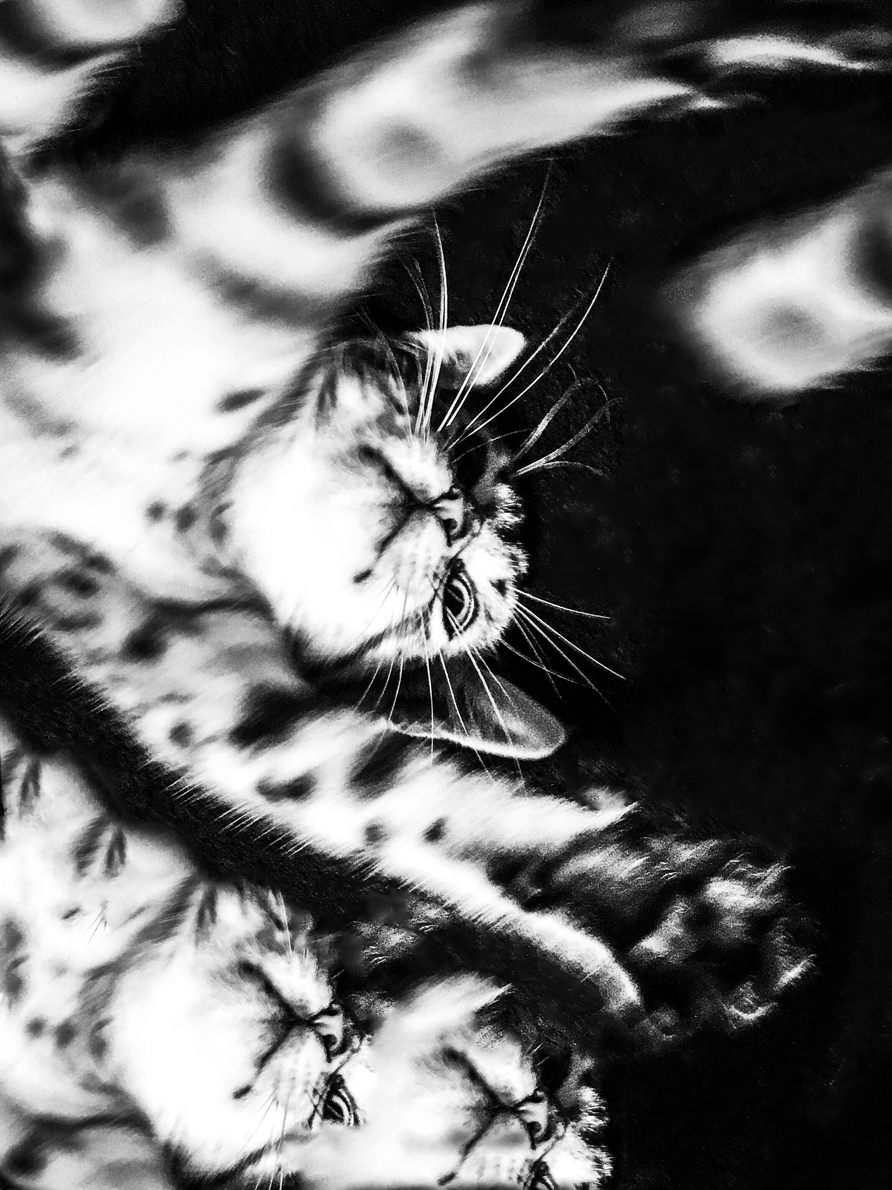 186779F2-CE30-4DBC-954F-DBBEB2009B34.jpeg