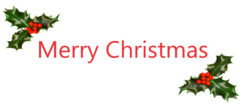 MerryXmasE2.png