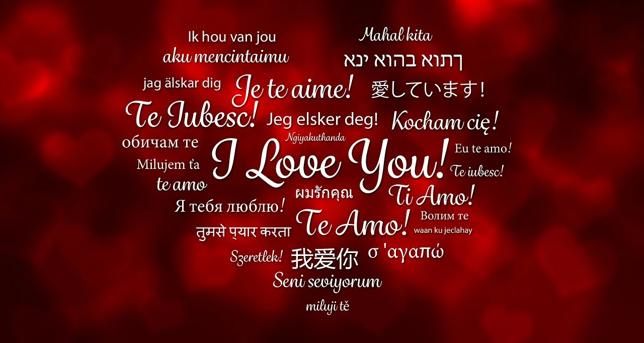 4A29CBDF-E6FE-41B7-B247-B76DFB496A66.webp