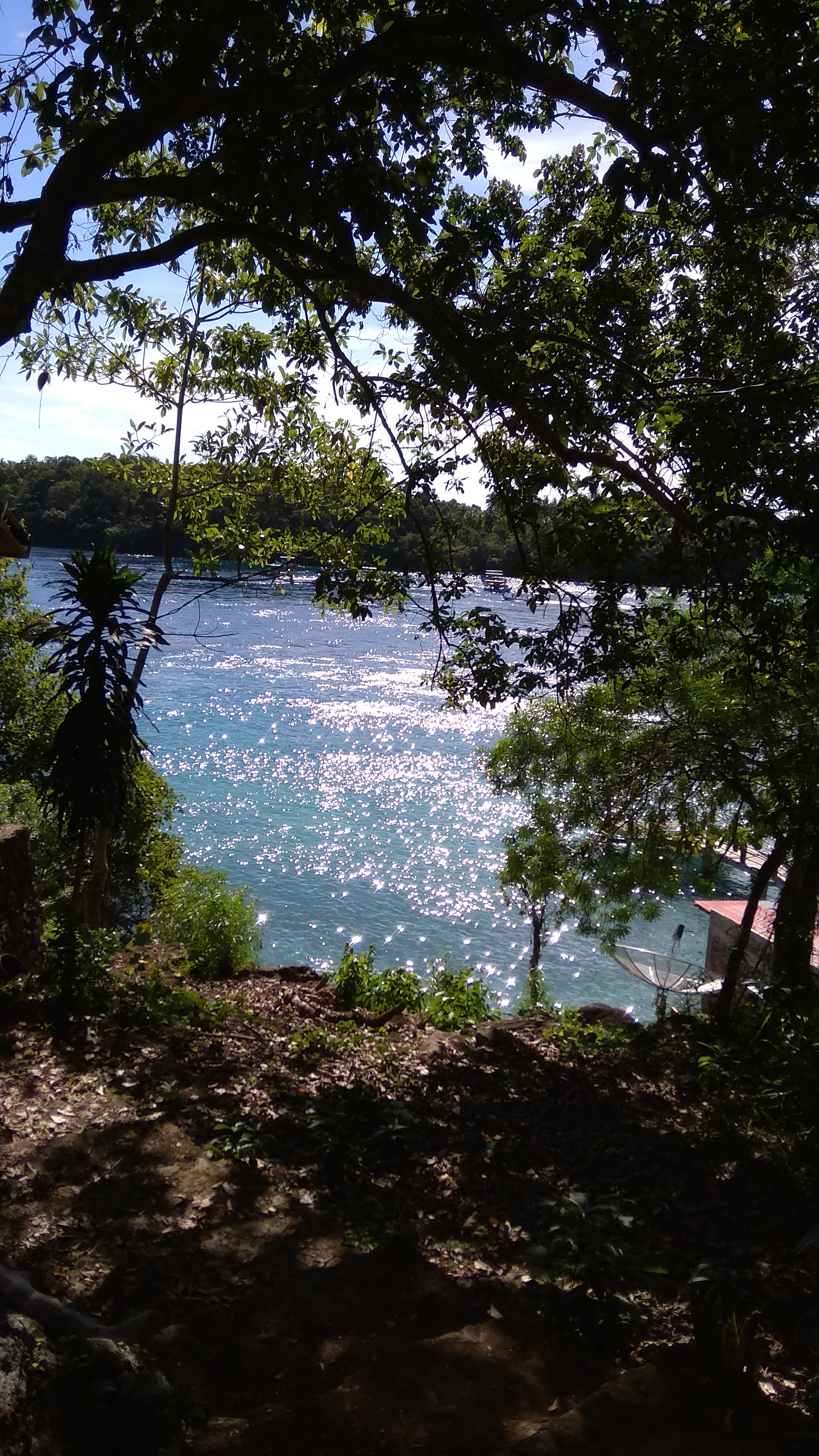 IMG_20190504_091004.jpg