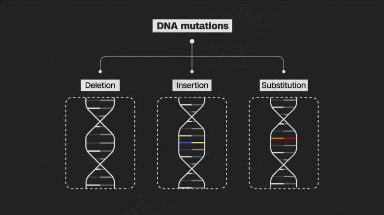 200727150647-dna-mutation-exlarge-169.jpg