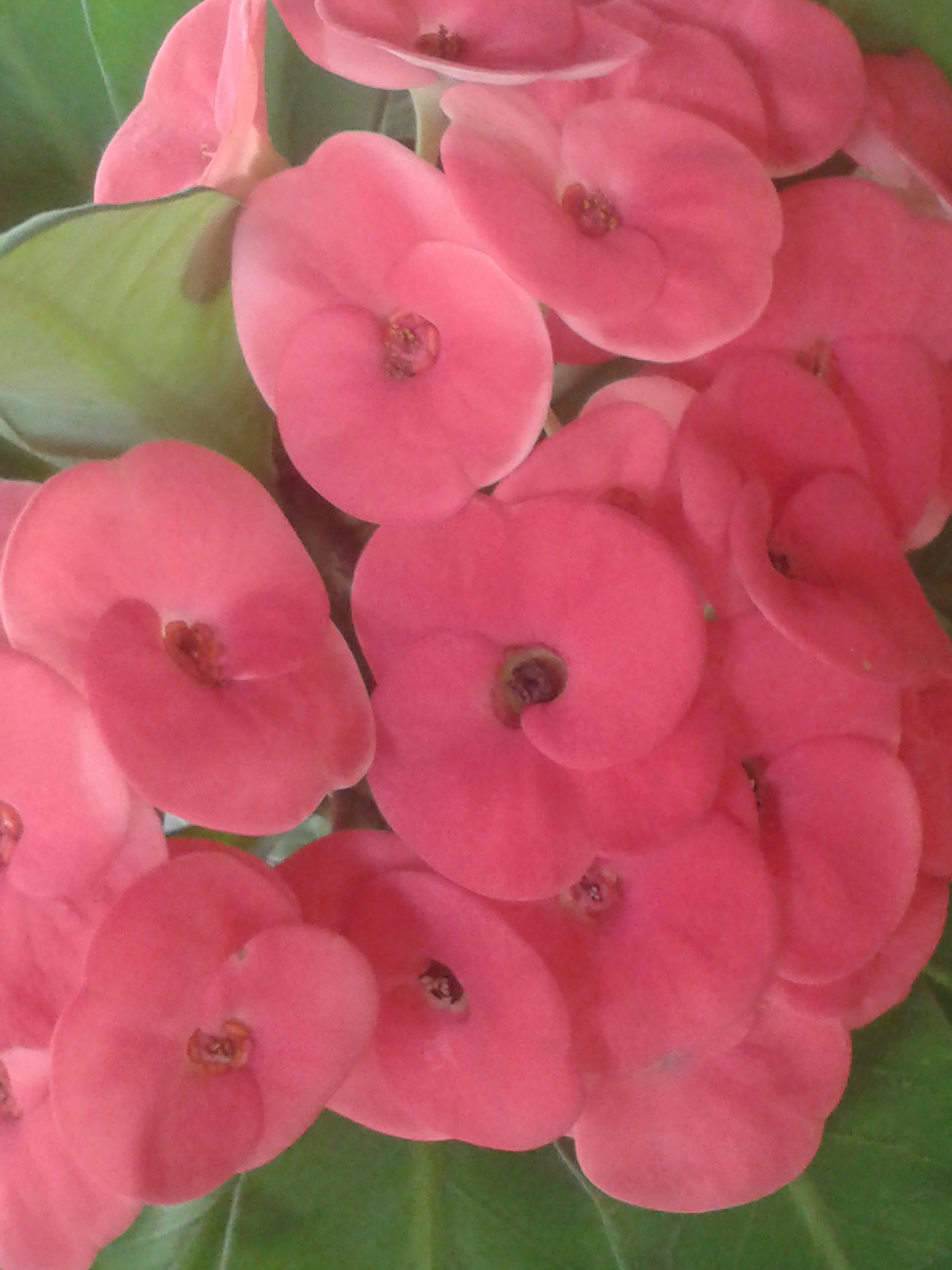 20201101_144151.jpg