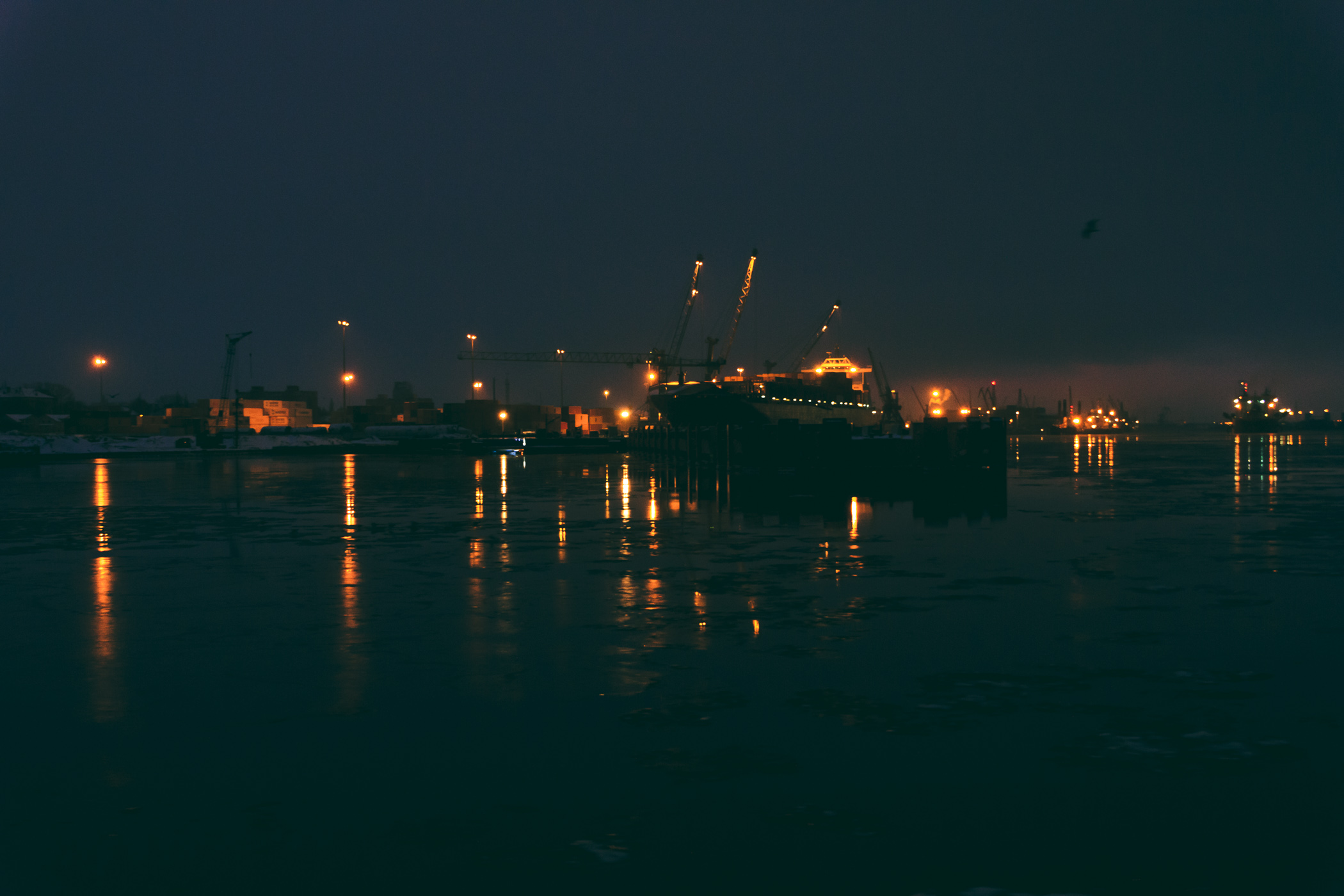 _D009076.jpg