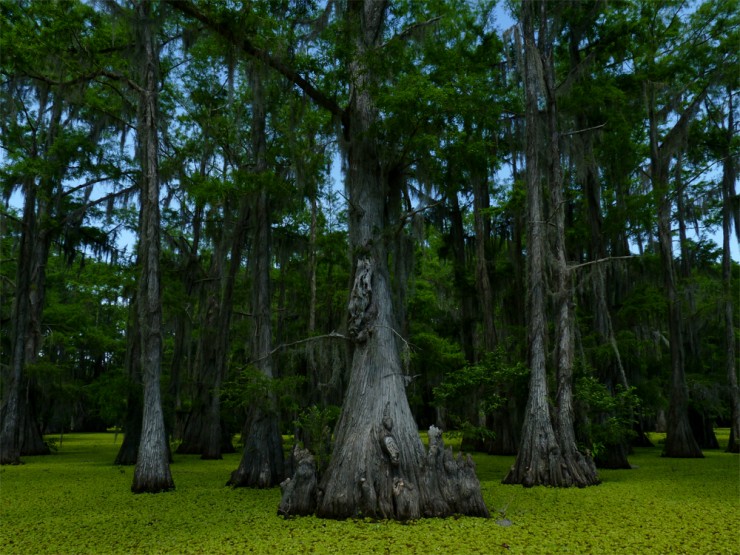 Top-American-Lakes-Caddo4-740x555.jpg