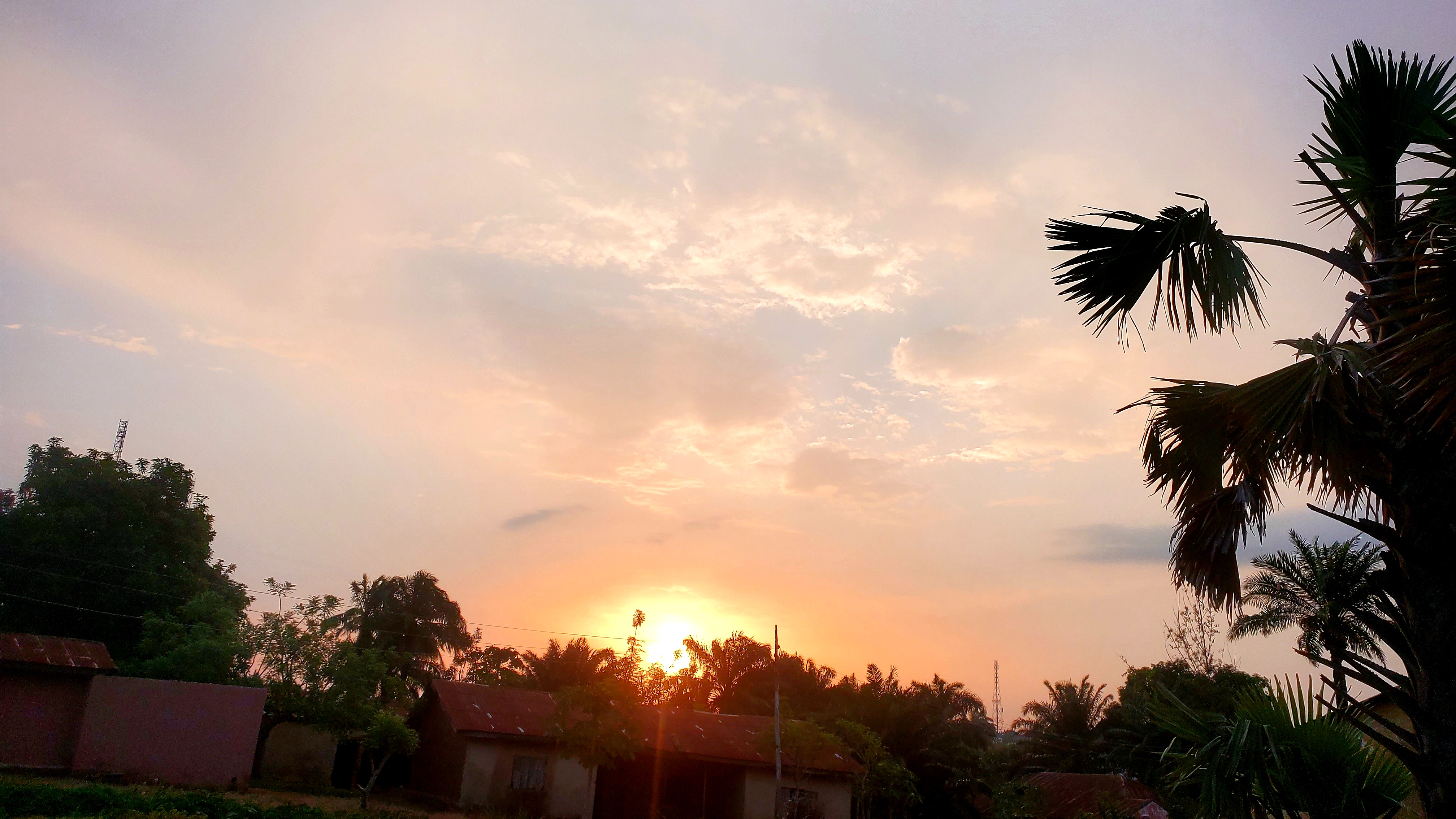 20260616_182249.jpg